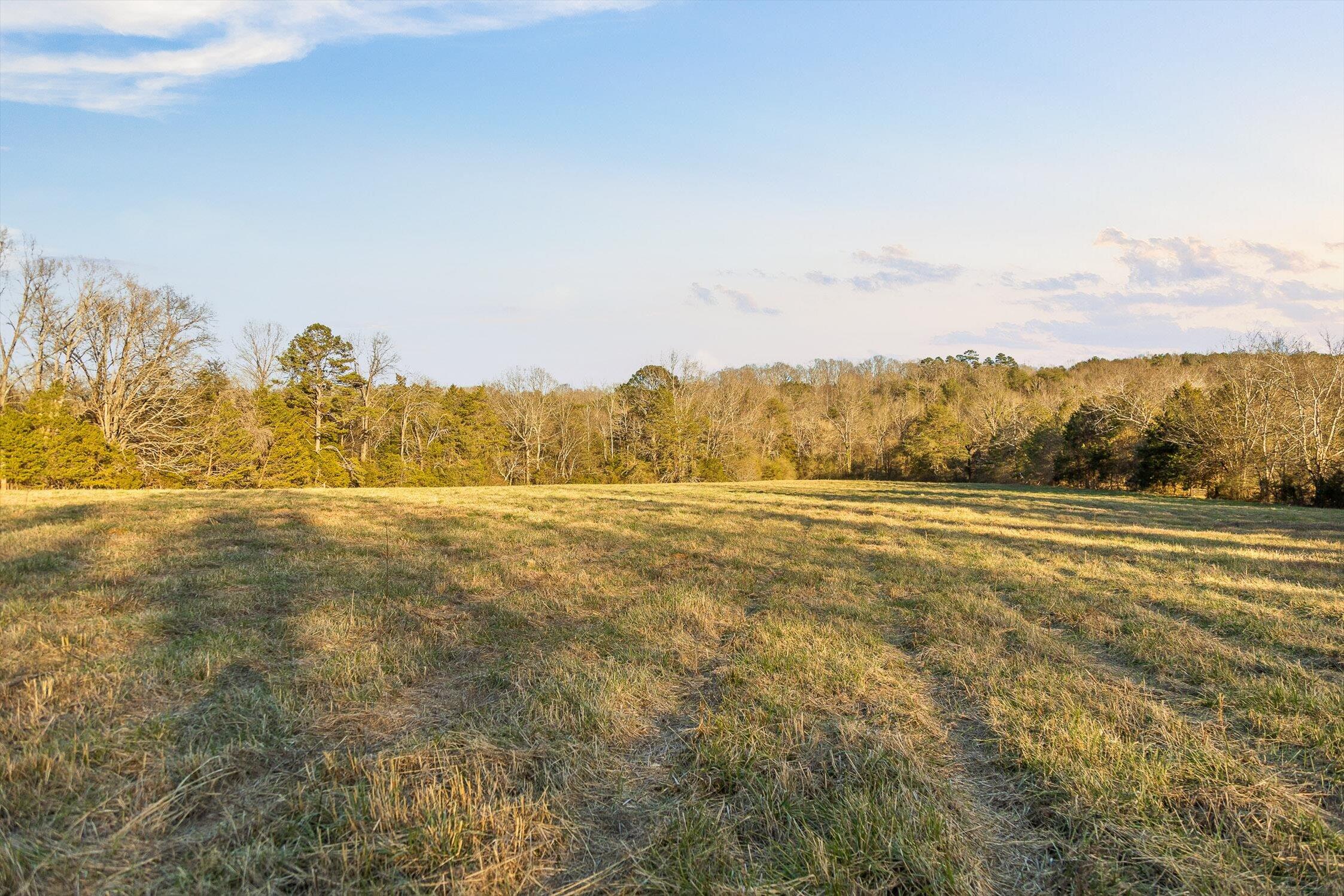 0 W Cove Road, 96.4 Ac