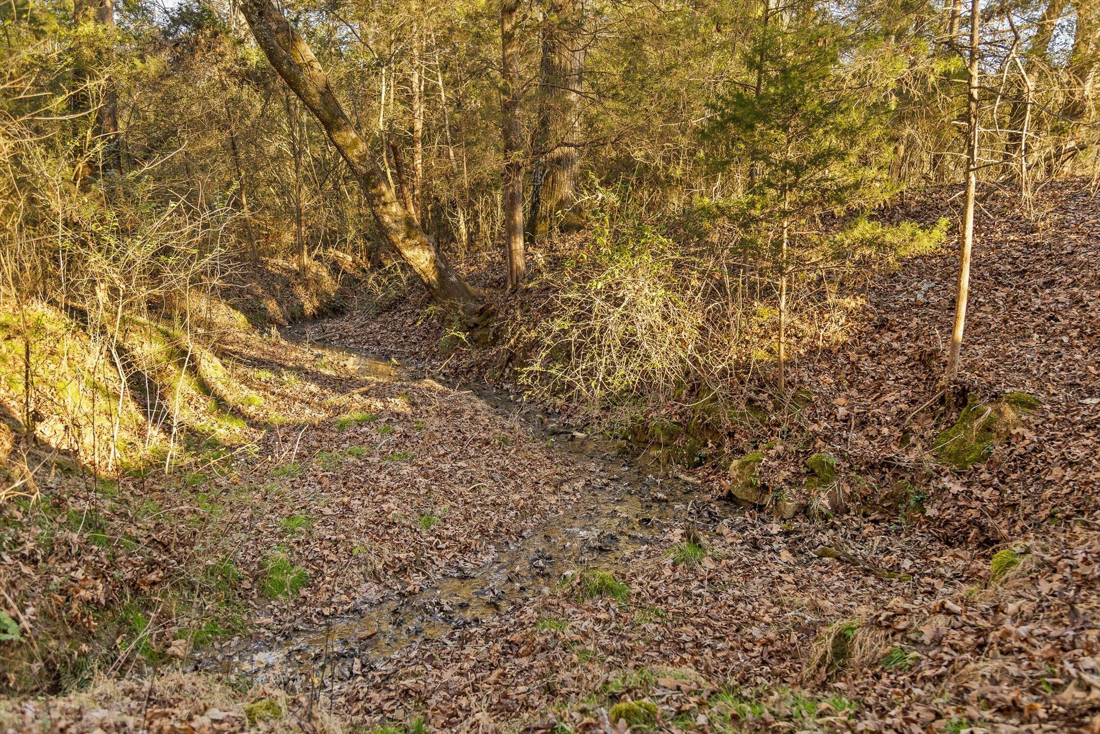 0 W Cove Road, 96.4 Ac