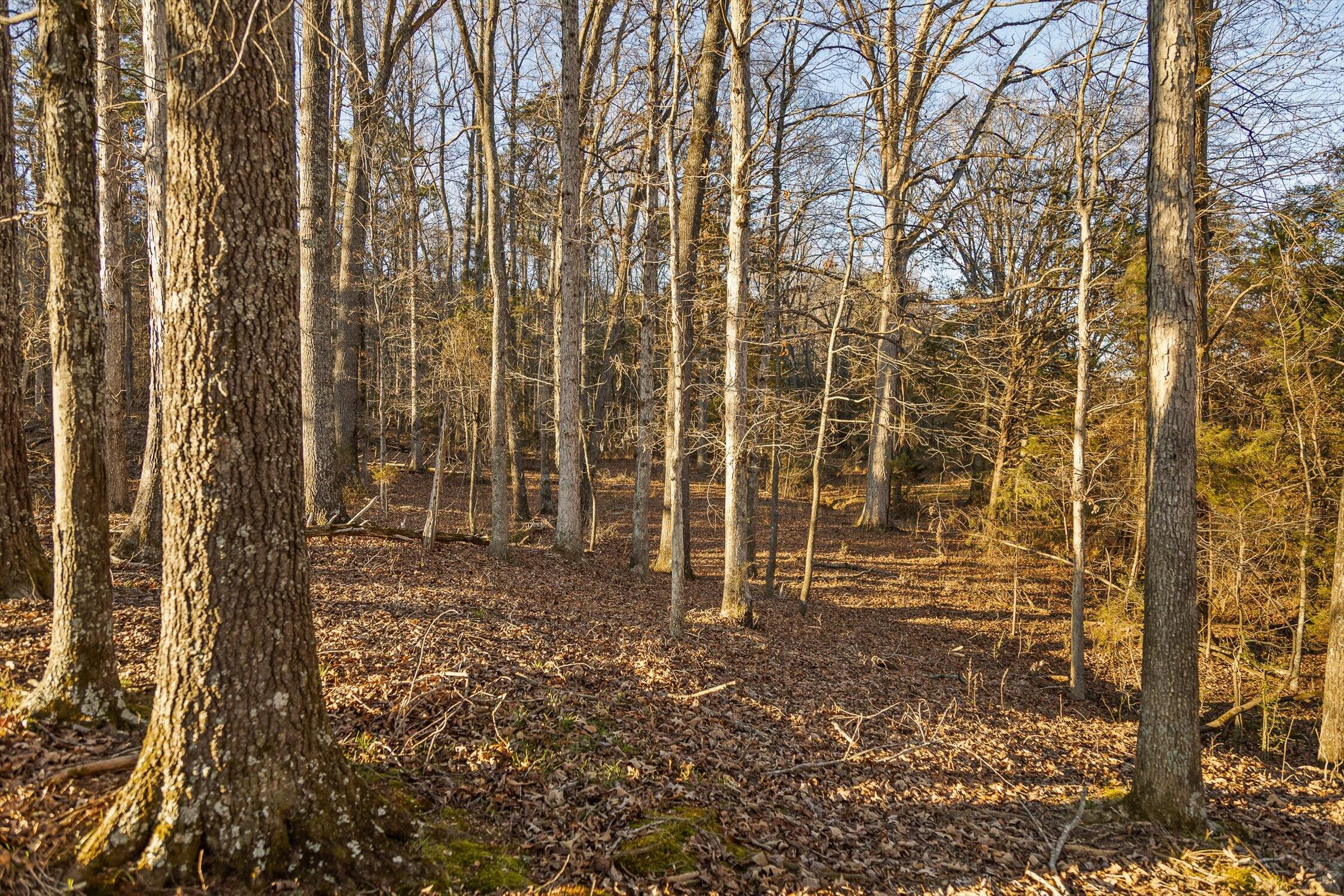 0 W Cove Road, 96.4 Ac