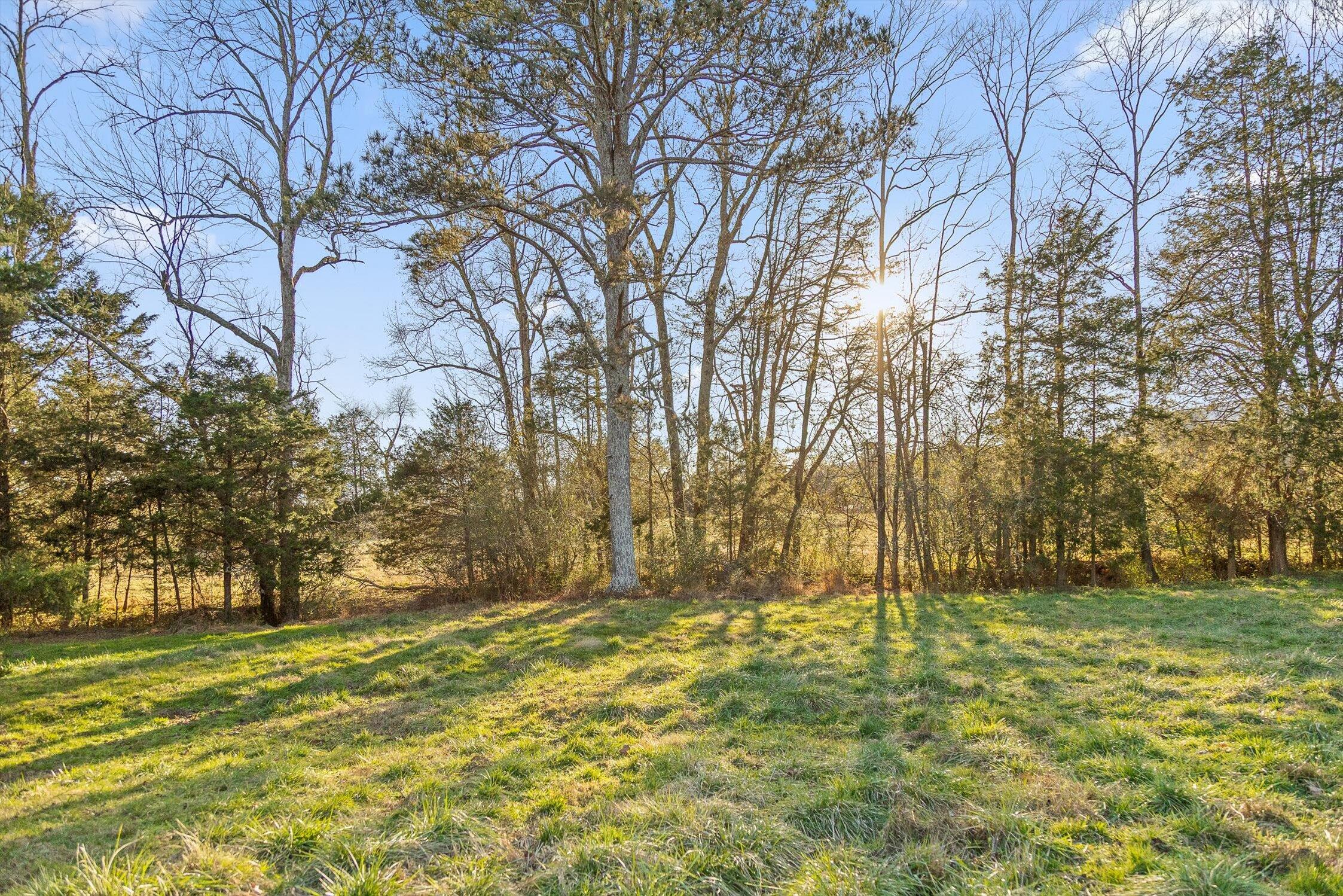 0 W Cove Road, 96.4 Ac