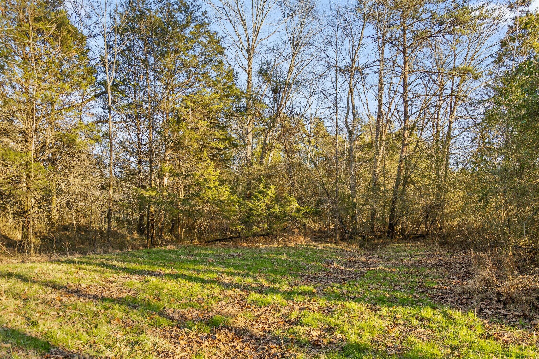 0 W Cove Road, 96.4 Ac