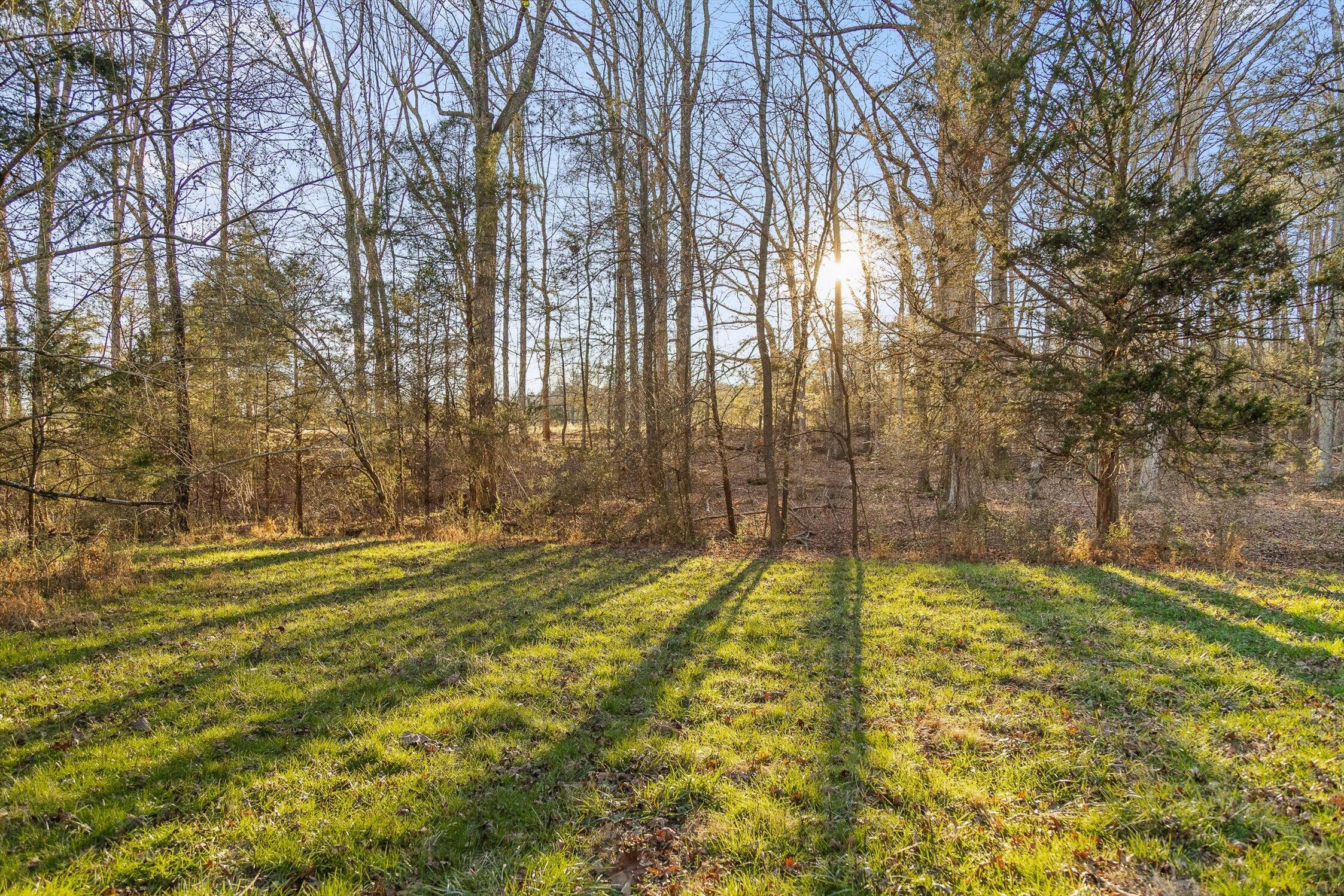 0 W Cove Road, 96.4 Ac