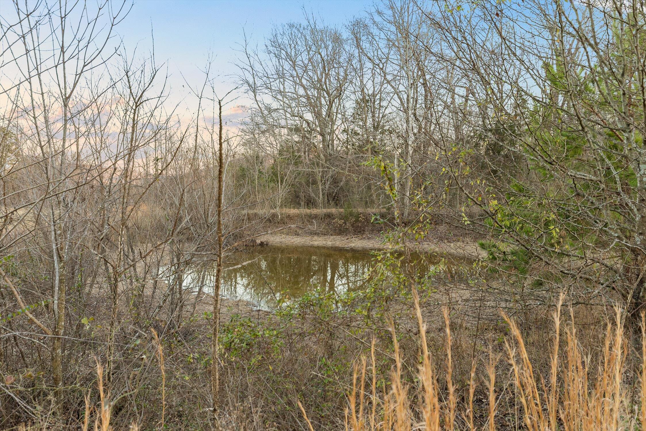 0 W Cove Road, 59.5 Ac