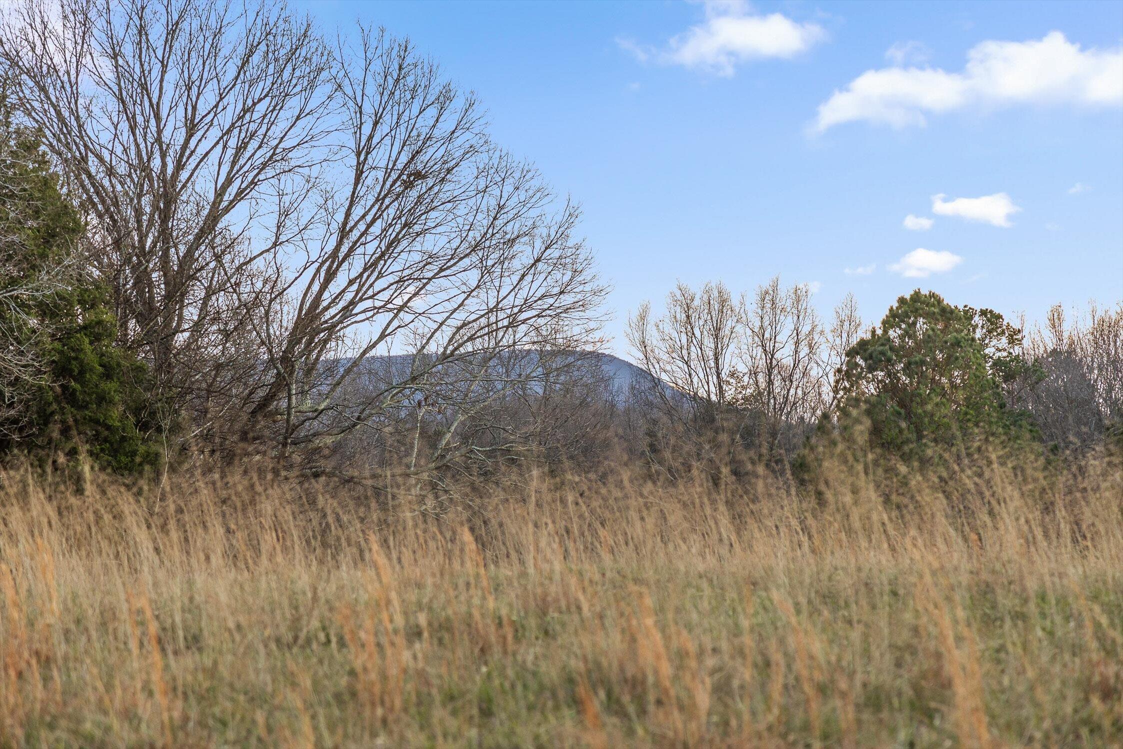 0 W Cove Road, 59.5 Ac