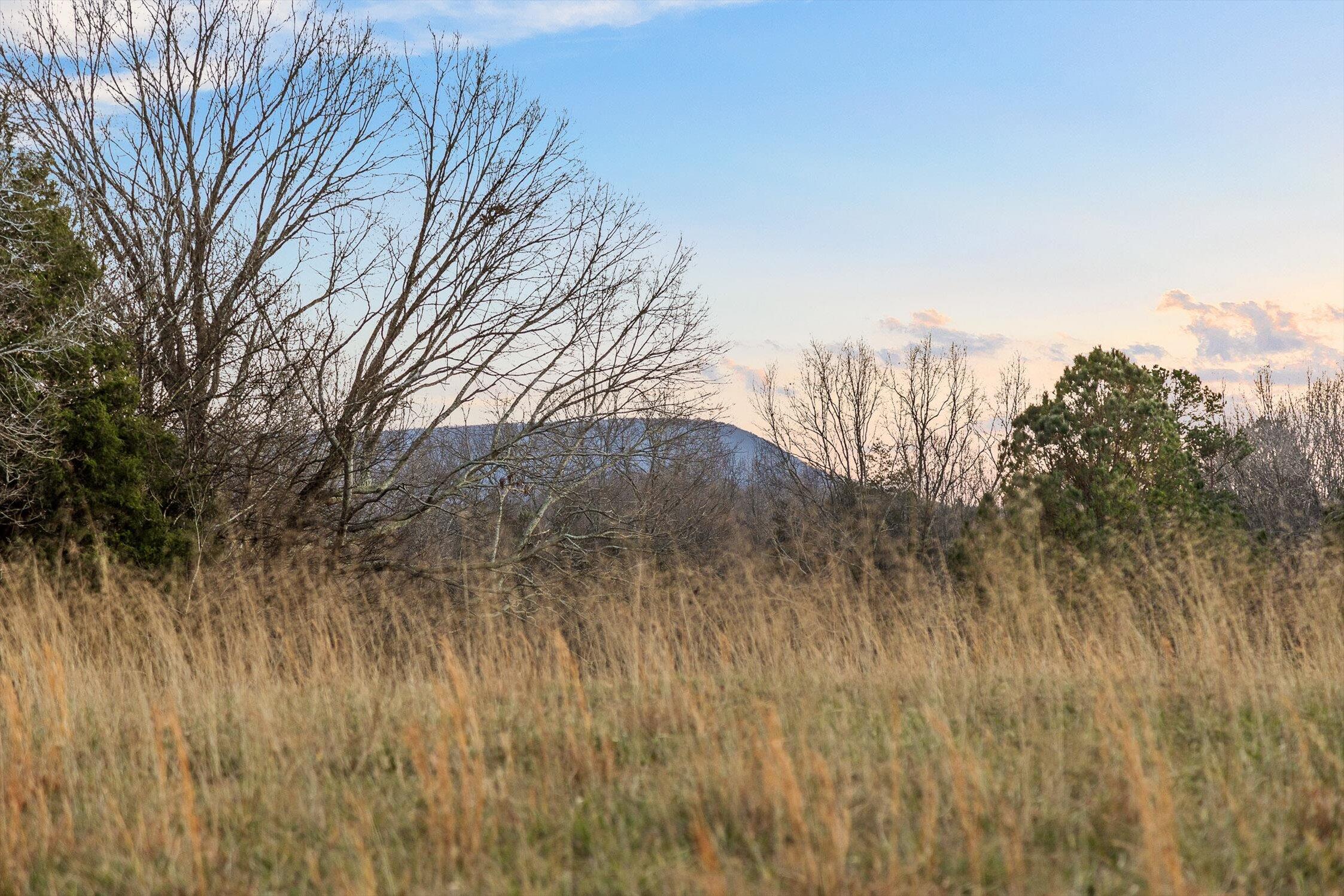 0 W Cove Road, 59.5 Ac