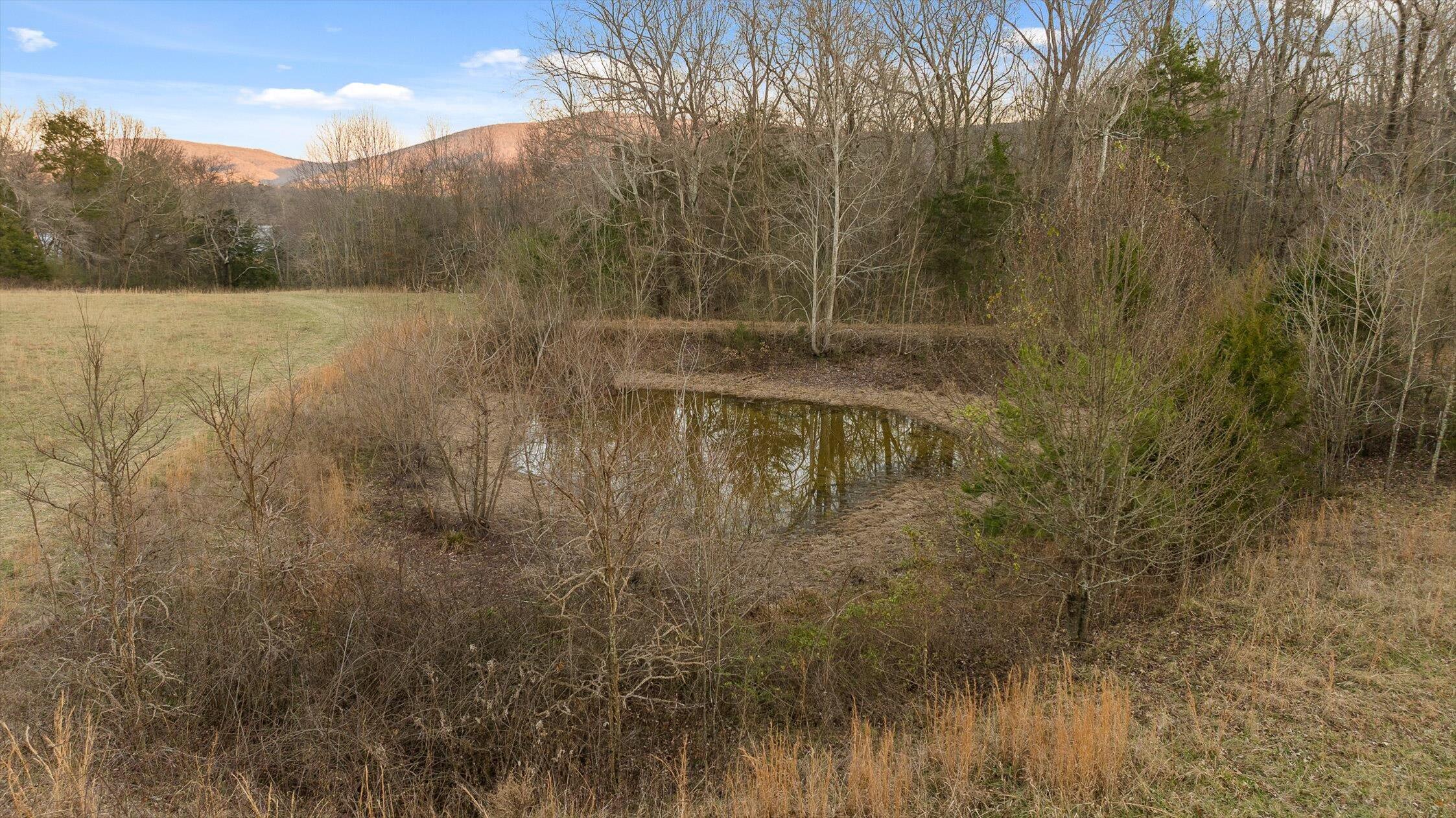 0 W Cove Road, 59.5 Ac