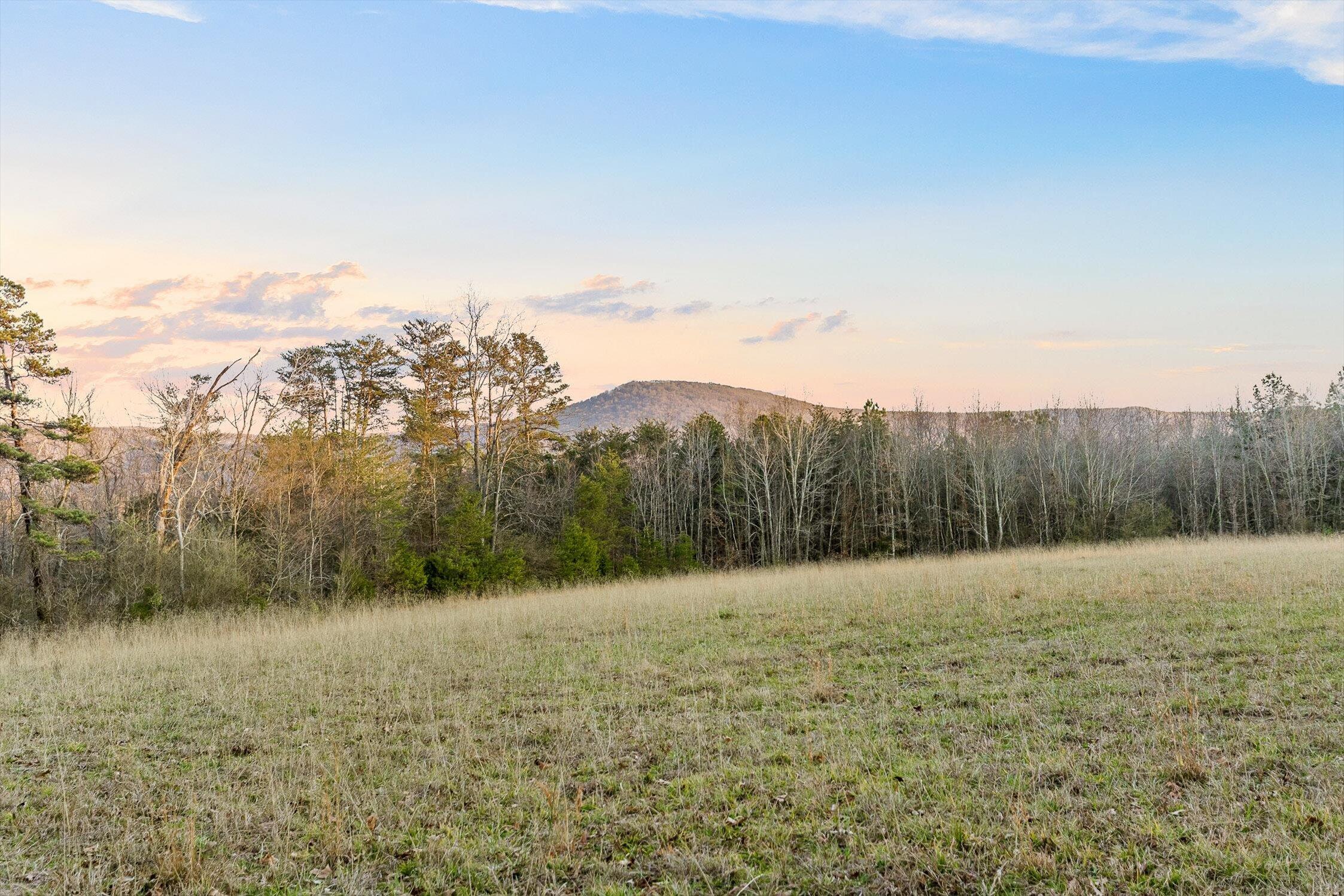 0 W Cove Road, 59.5 Ac