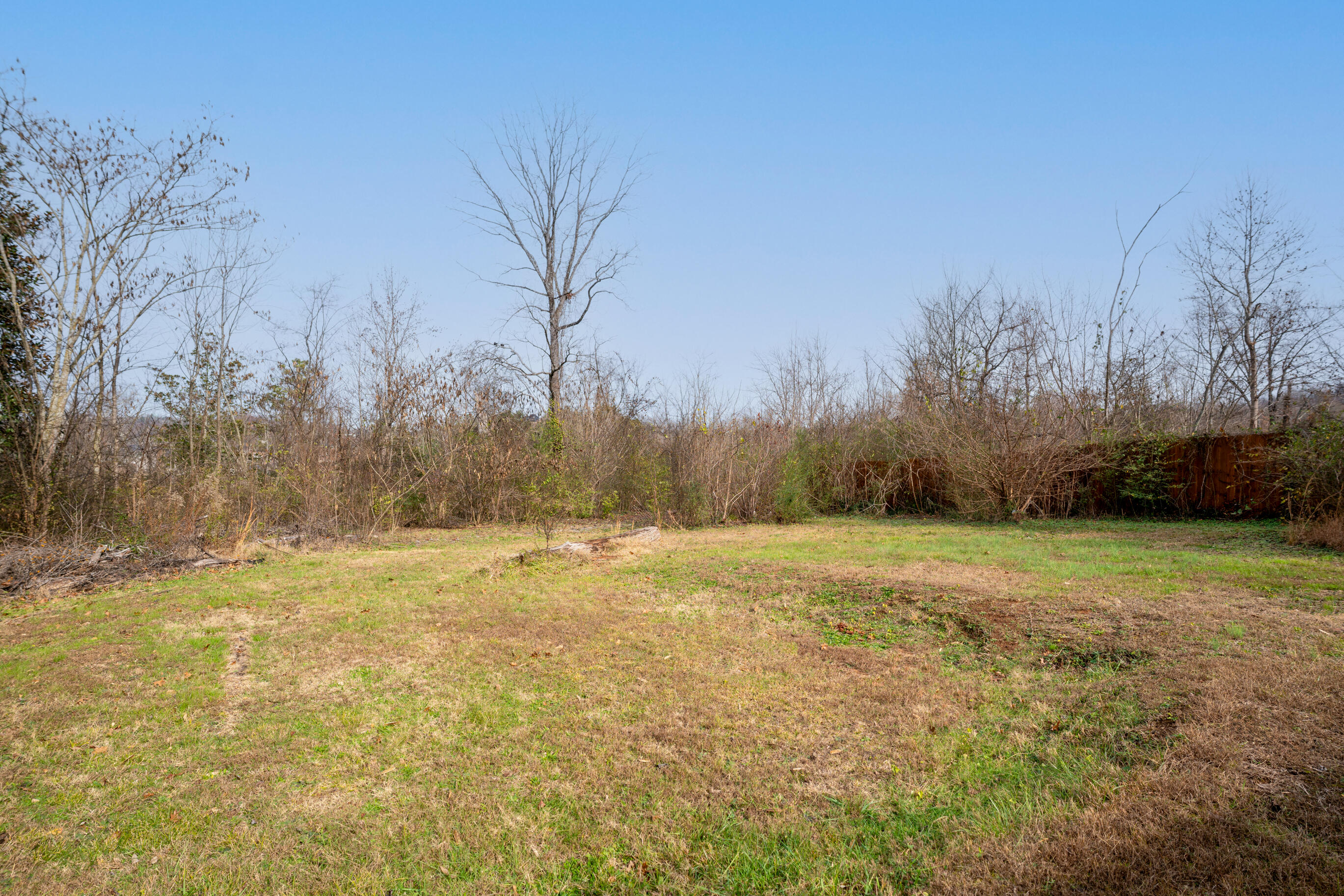 8009 Shallowford Road