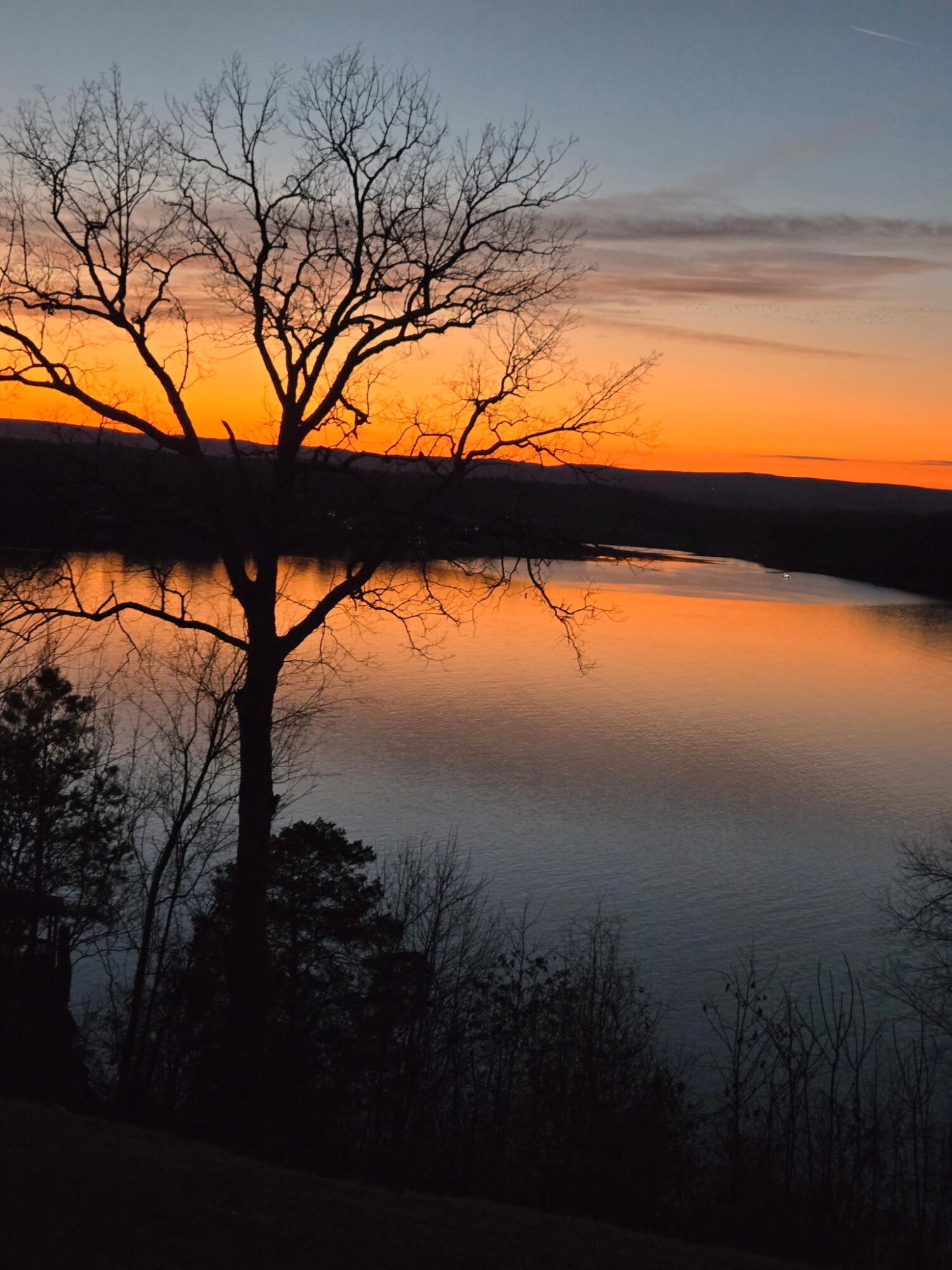 14302 Bluffview Drive