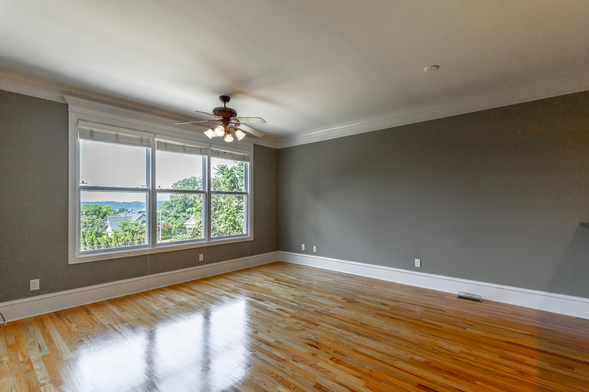 216 Shady Ridge Lane
