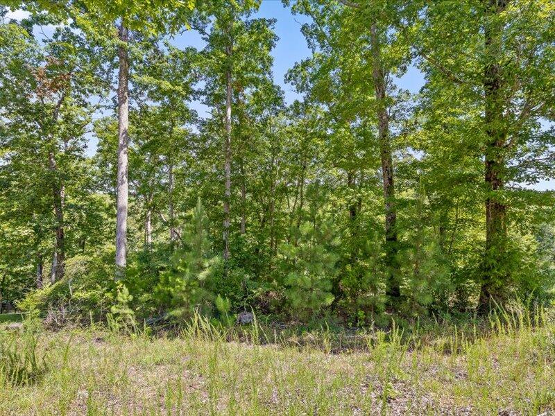 15887 Channel Pointe Drive, Lot 58