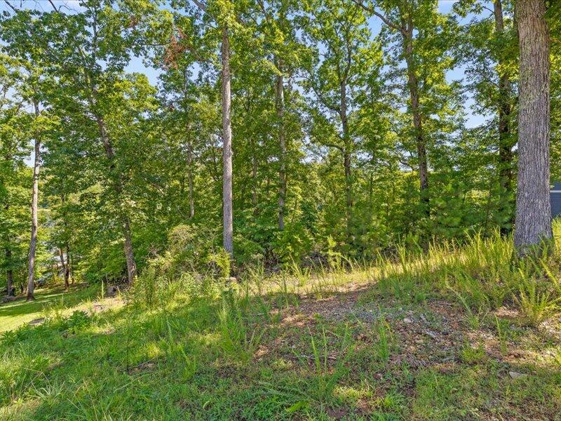 15887 Channel Pointe Drive, Lot 58