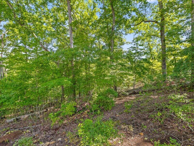 15887 Channel Pointe Drive, Lot 58