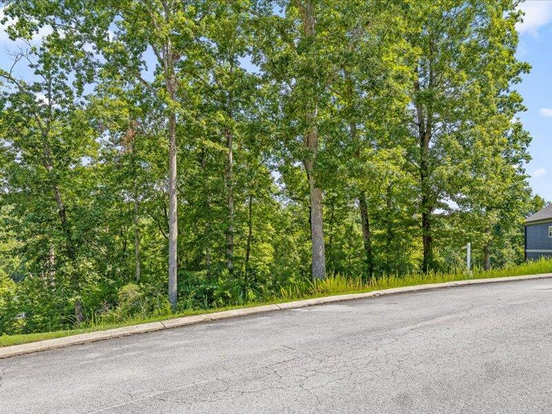 15887 Channel Pointe Drive, Lot 58