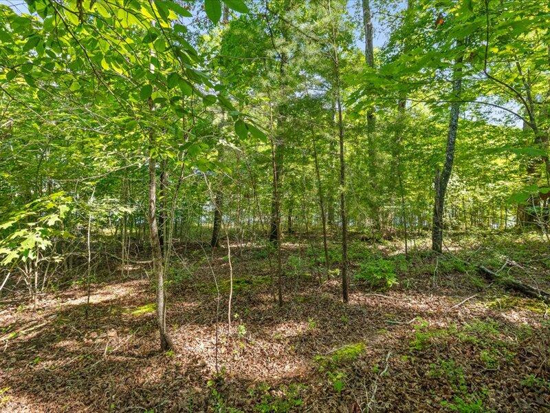 15887 Channel Pointe Drive, Lot 58