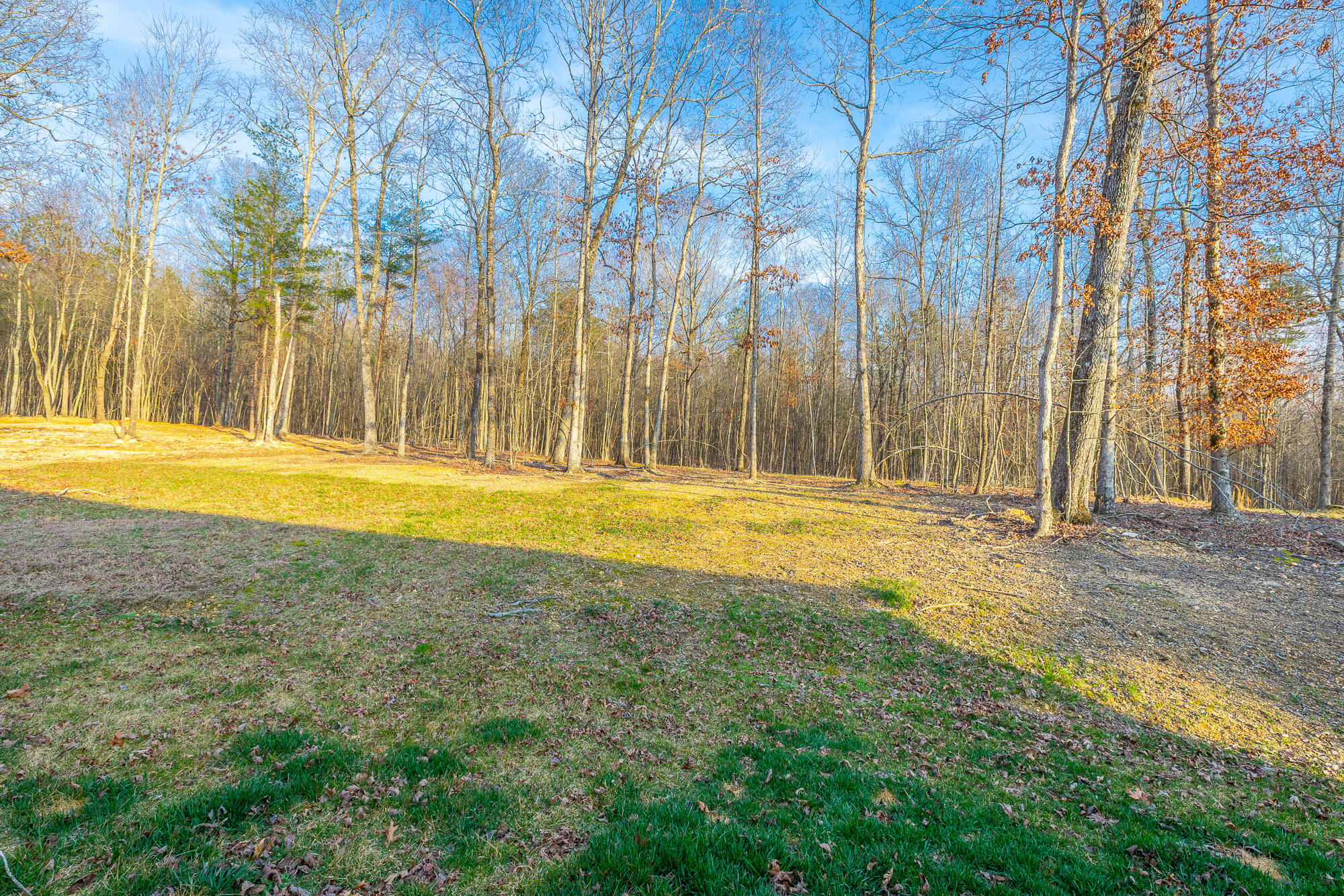 11544 Armstrong Road