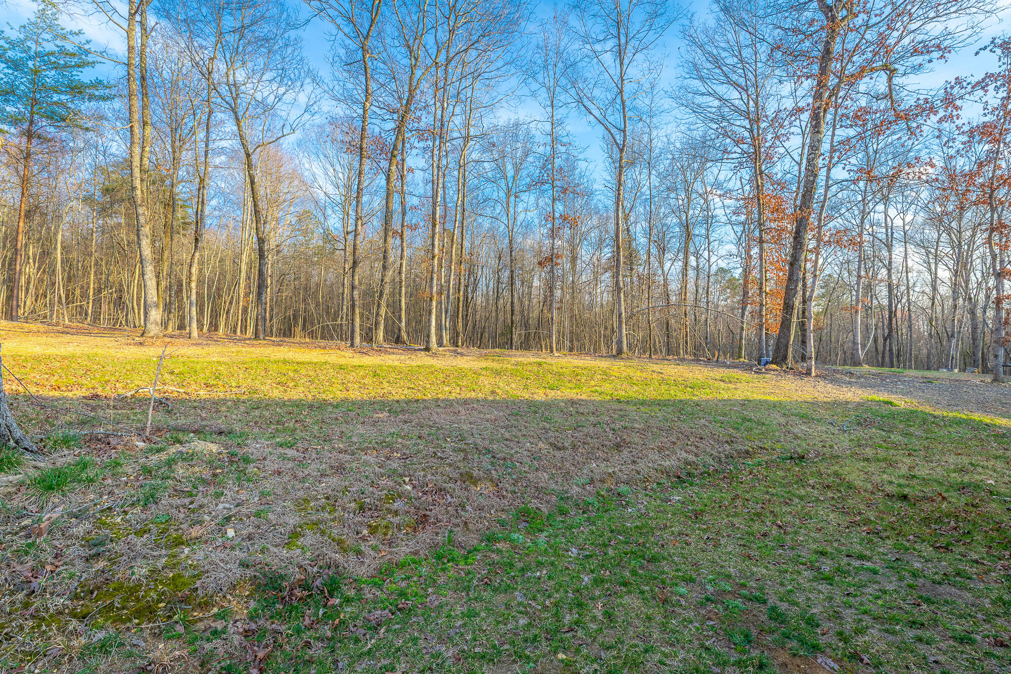 11544 Armstrong Road