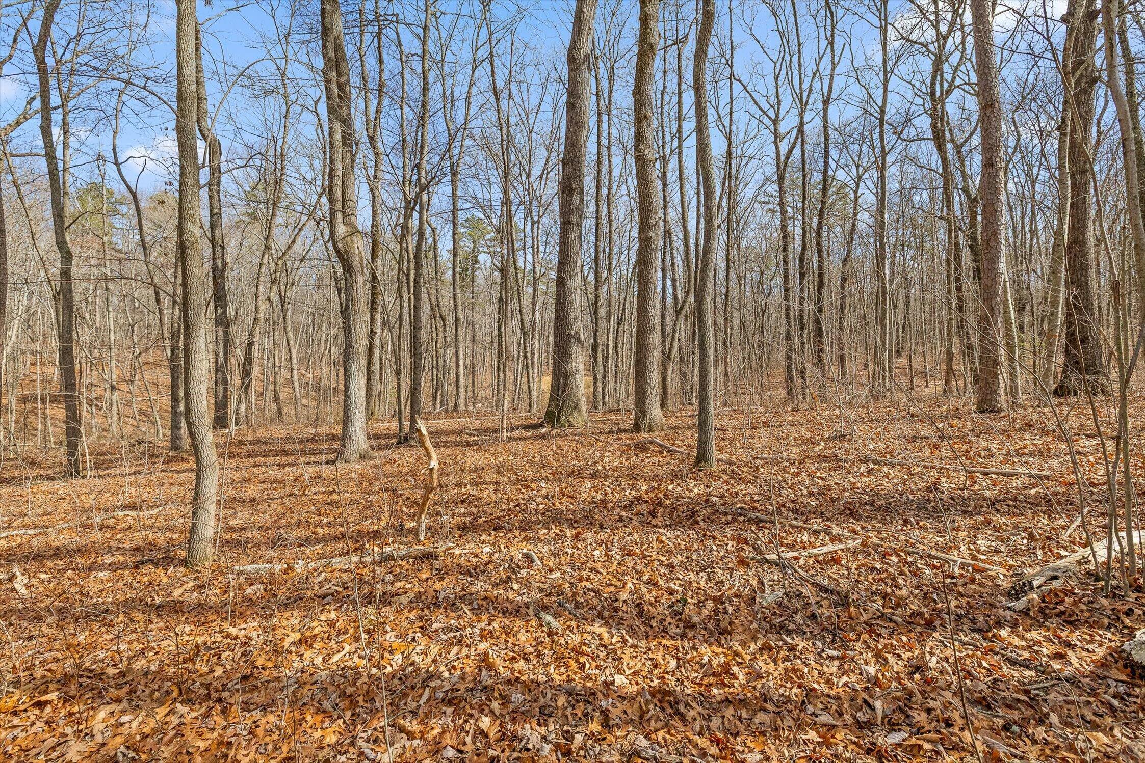 8283 Bear Paw Trail, (107)