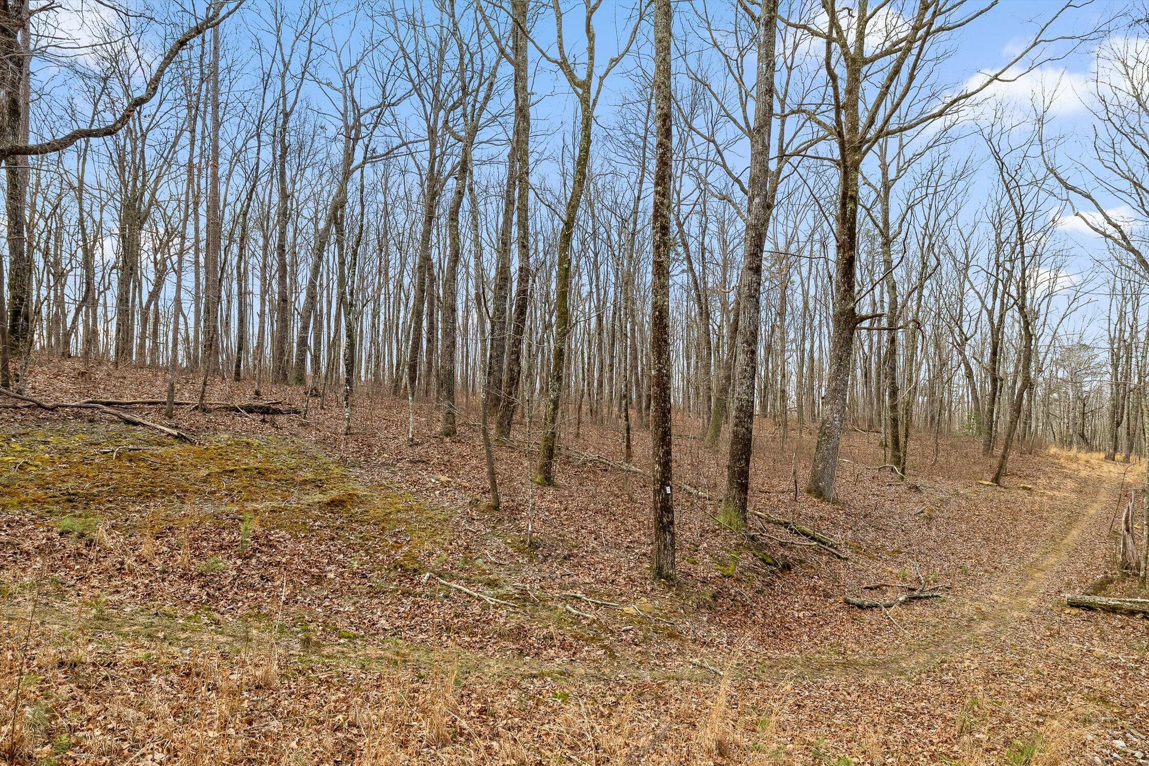 8283 Bear Paw Trail, (107)