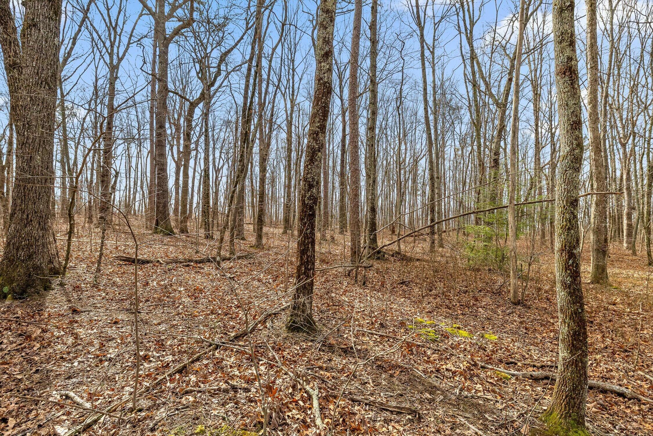 8283 Bear Paw Trail, (107)
