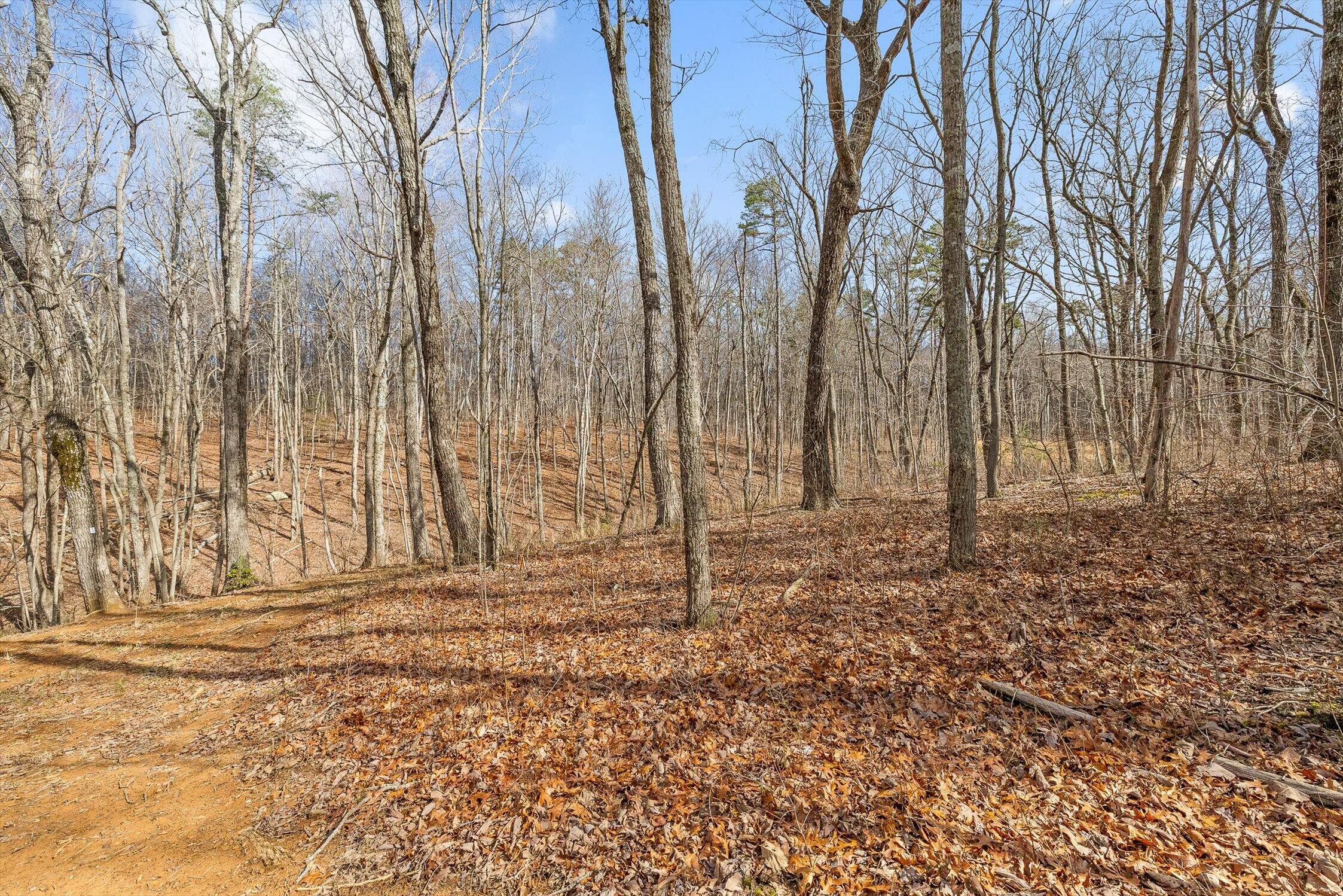 8283 Bear Paw Trail, (107)