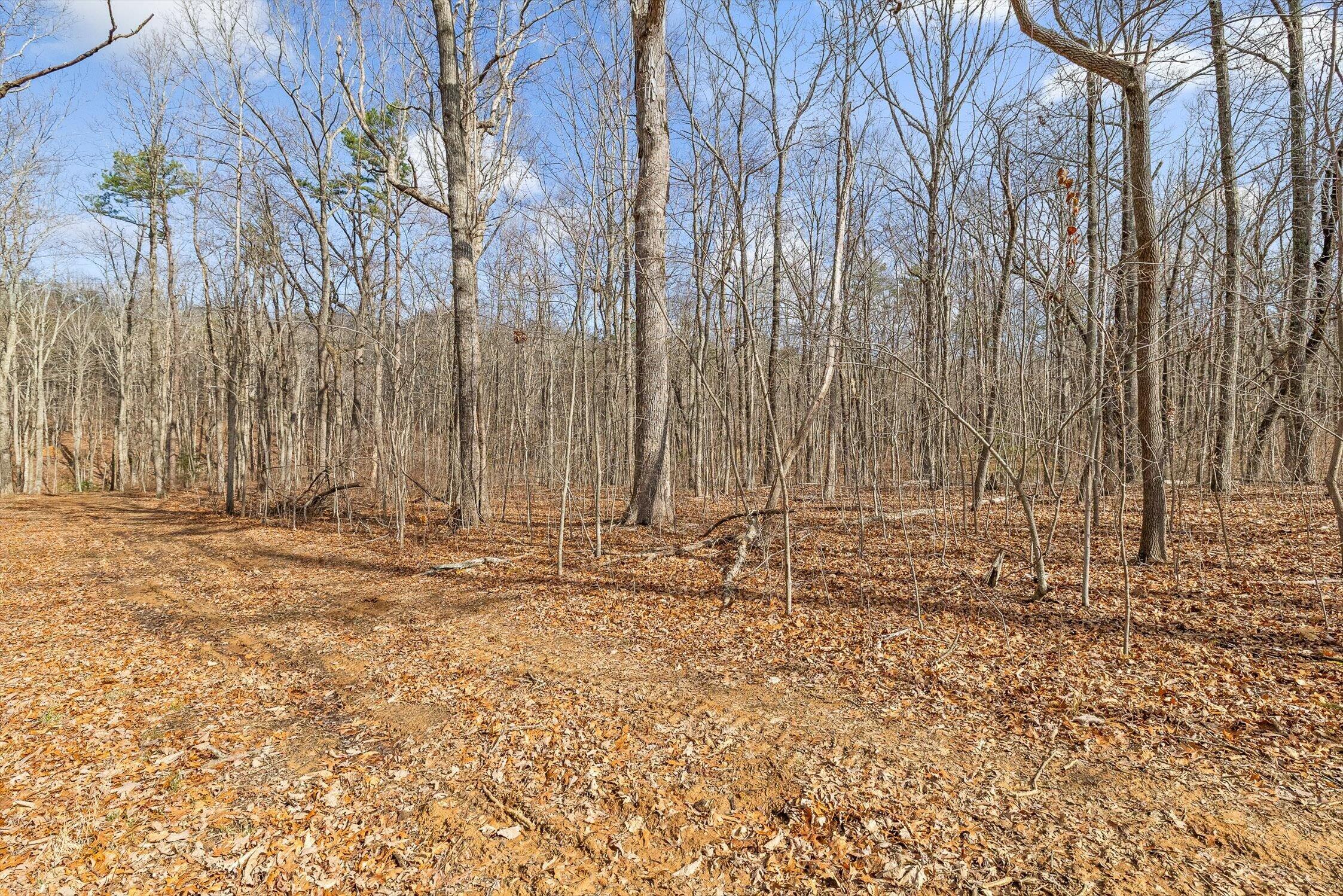 8283 Bear Paw Trail, (107)
