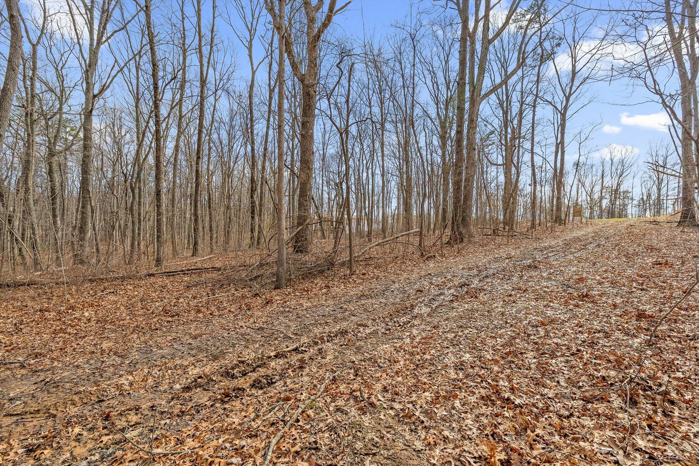 8283 Bear Paw Trail, (107)