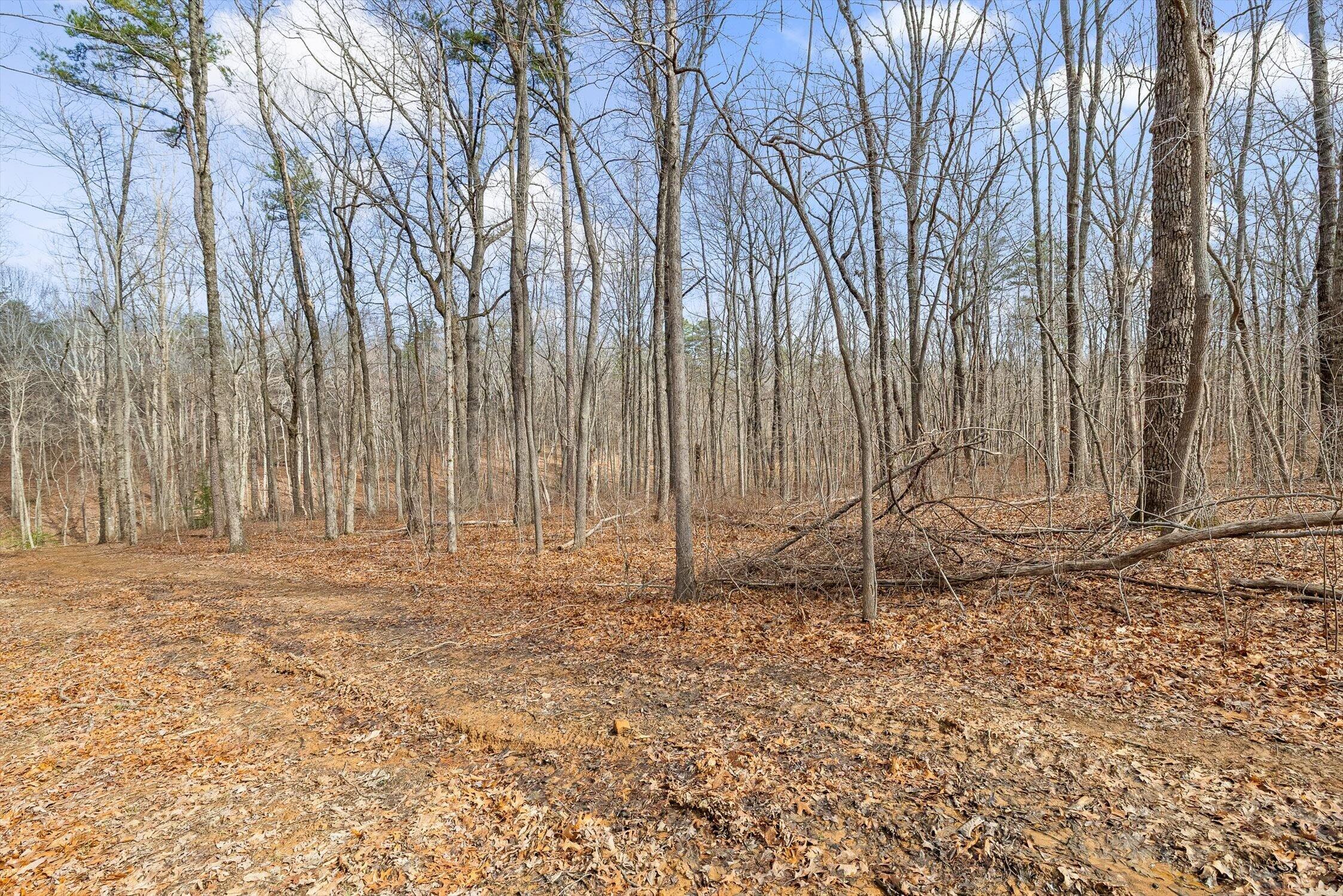 8283 Bear Paw Trail, (107)