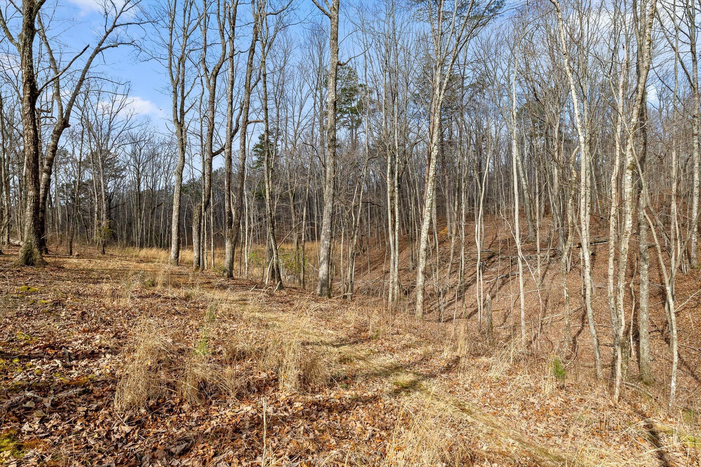 8283 Bear Paw Trail, (107)