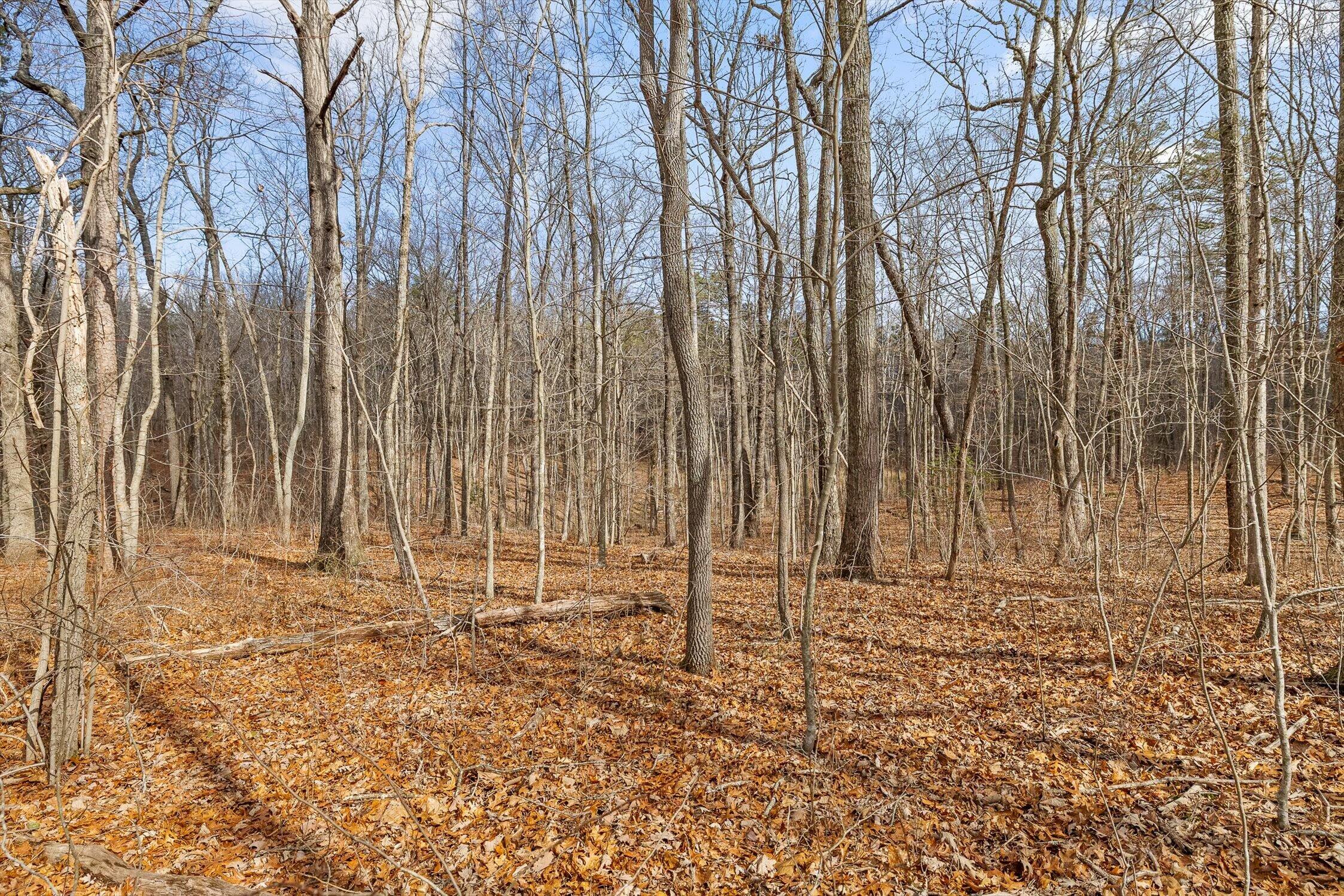 8283 Bear Paw Trail, (107)