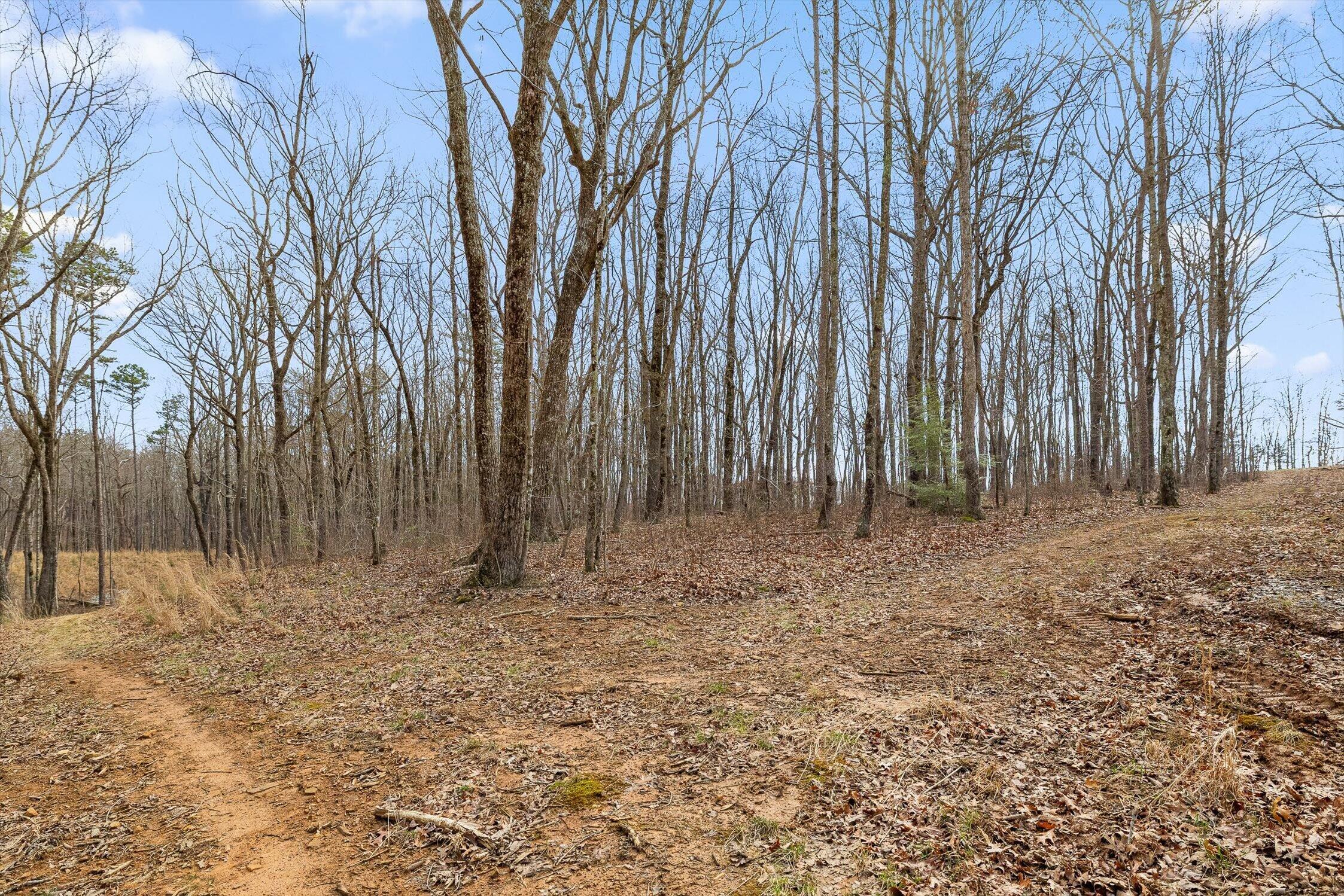 8283 Bear Paw Trail, (107)
