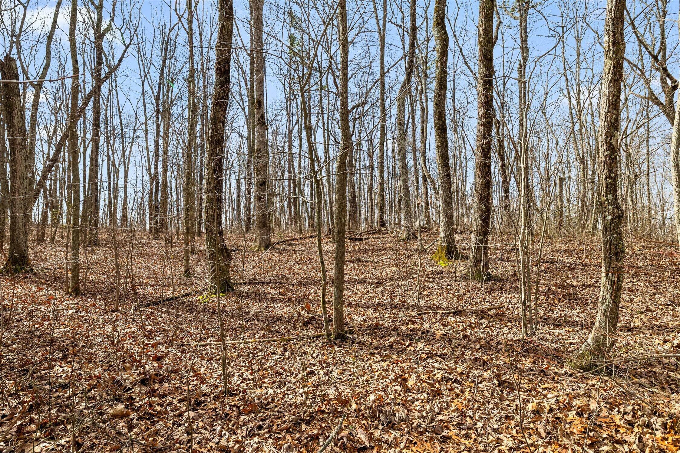 8283 Bear Paw Trail, (107)
