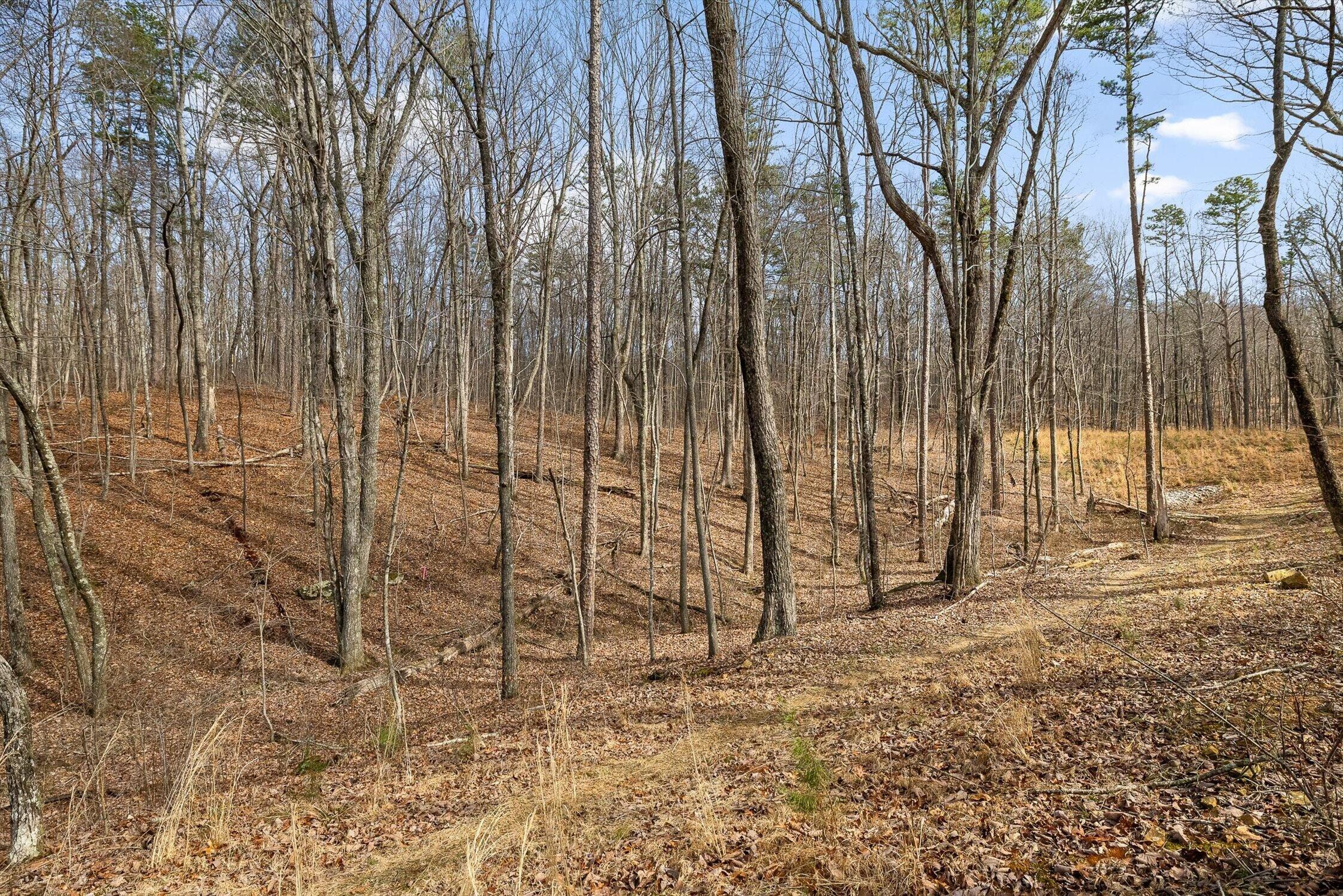 8283 Bear Paw Trail, (107)