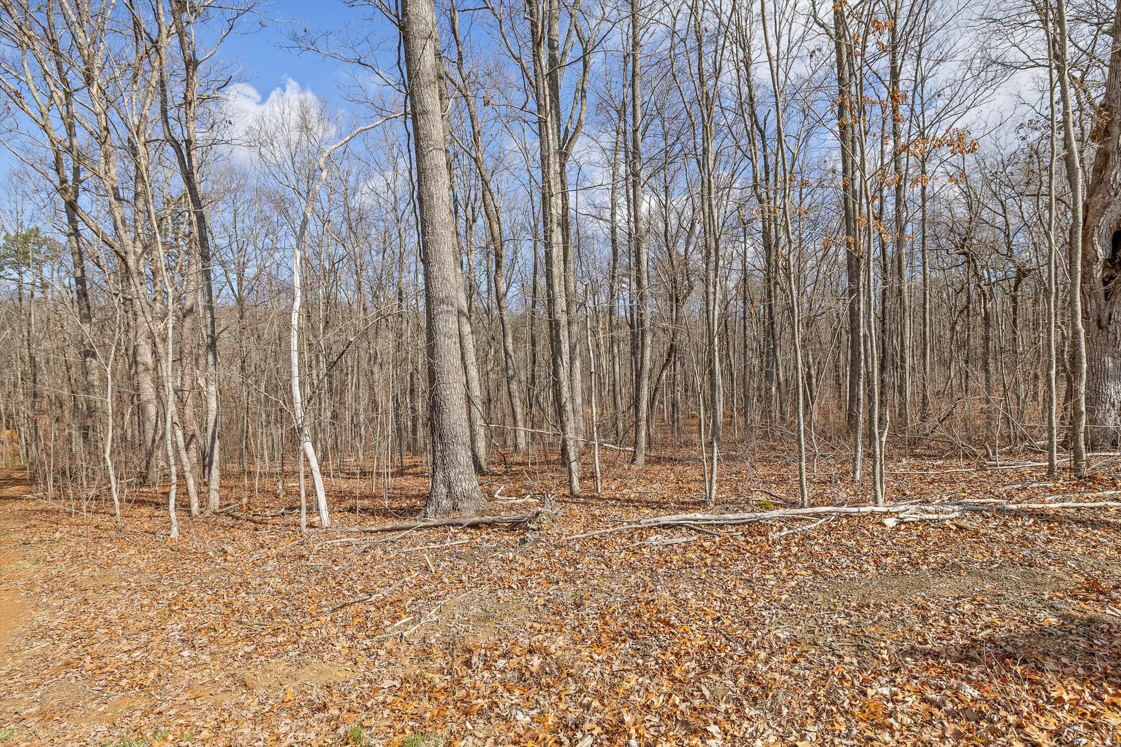 8283 Bear Paw Trail, (107)