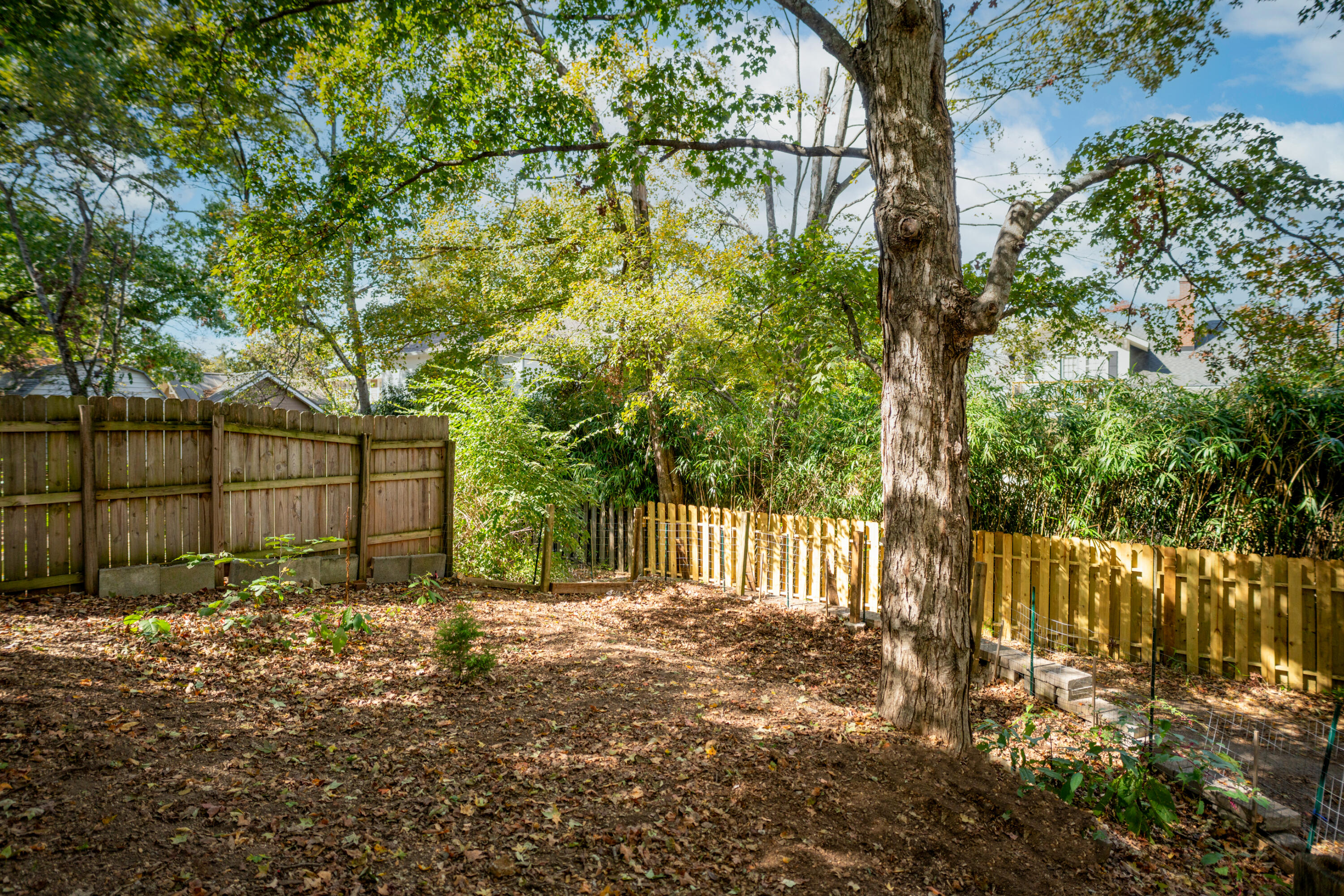 1009 Winthrop Street