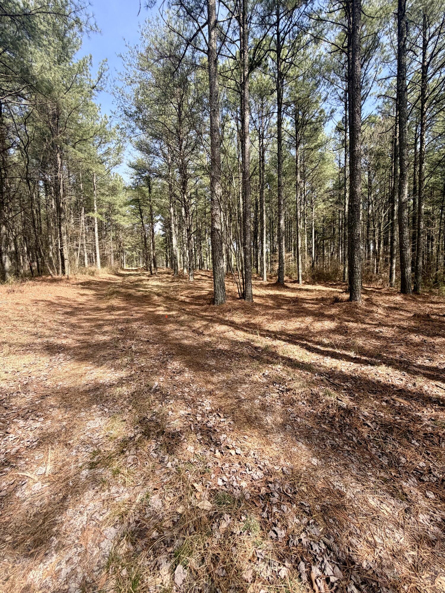 2706 Meditation Lane