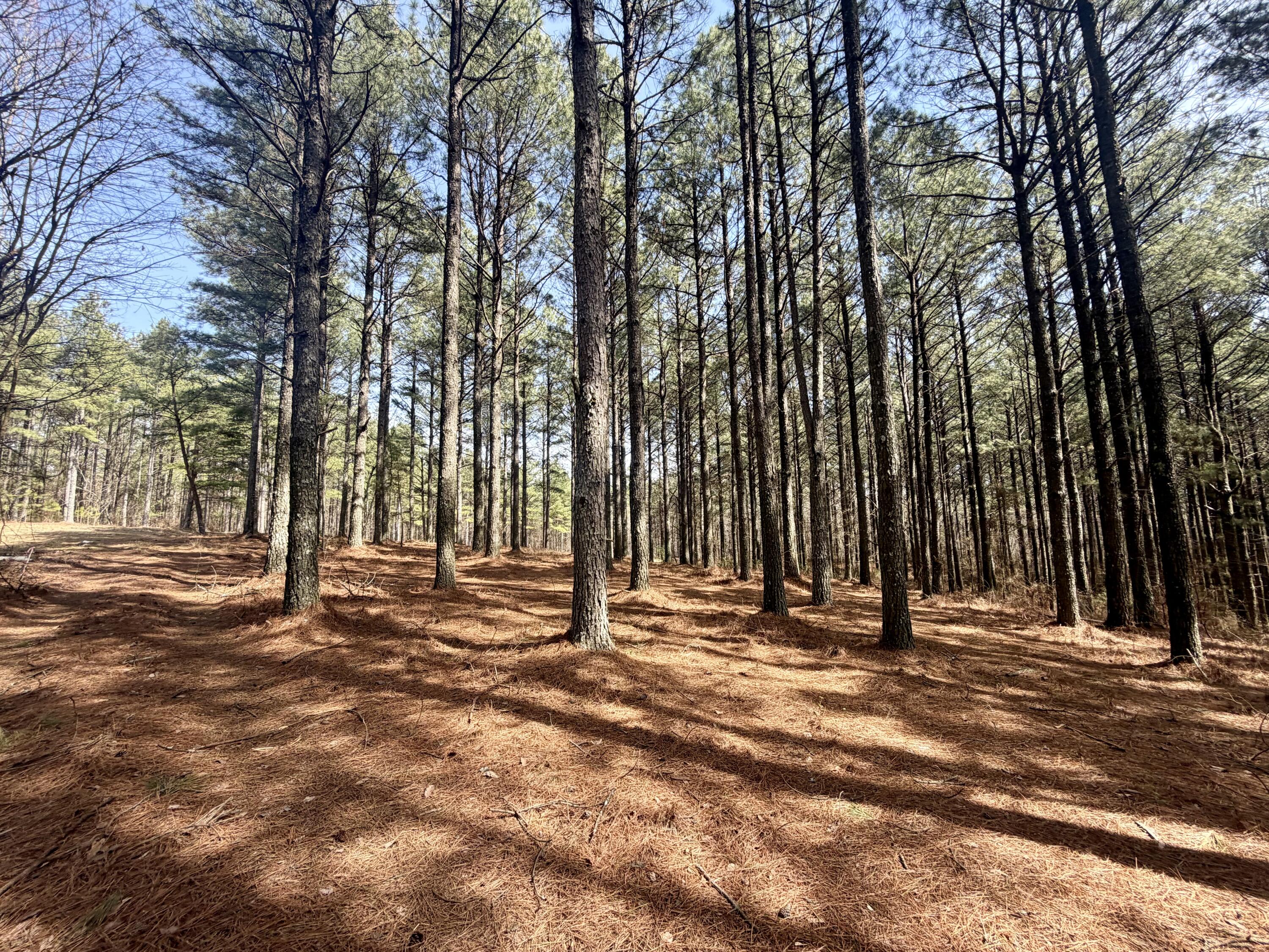 2706 Meditation Lane