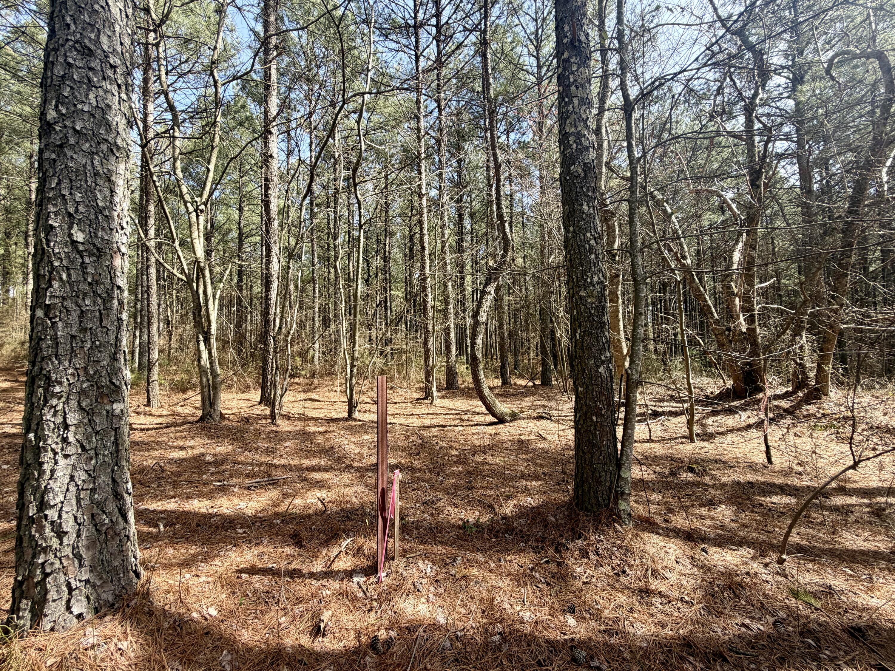 2706 Meditation Lane