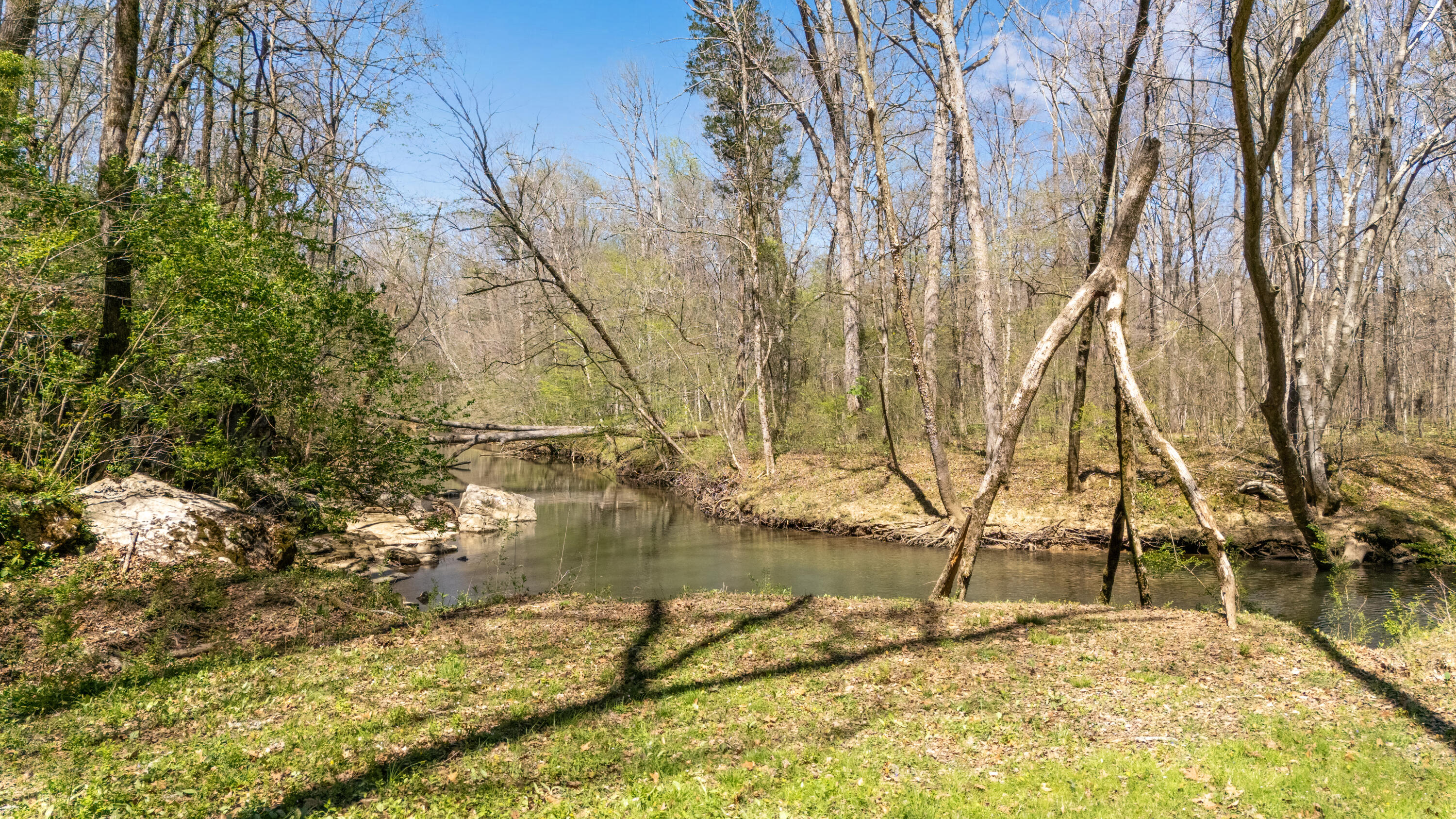 5540 Mill Stone Drive