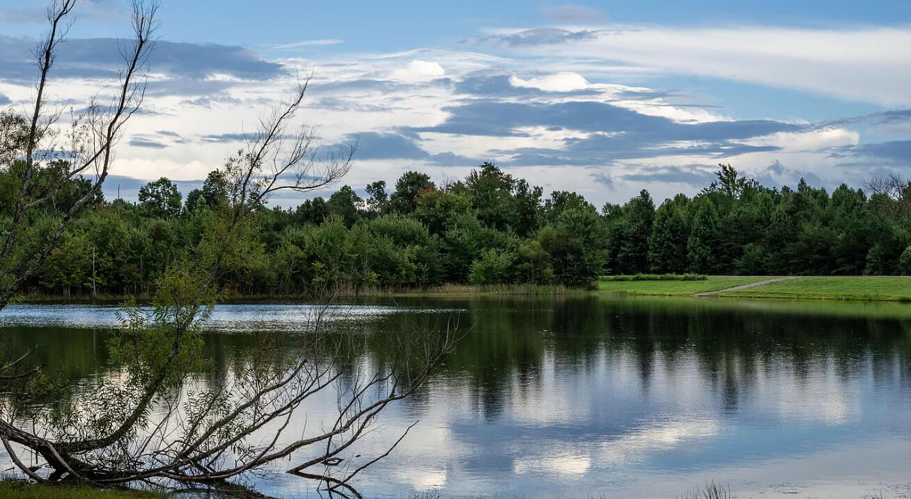 2958 Bluff View Drive W