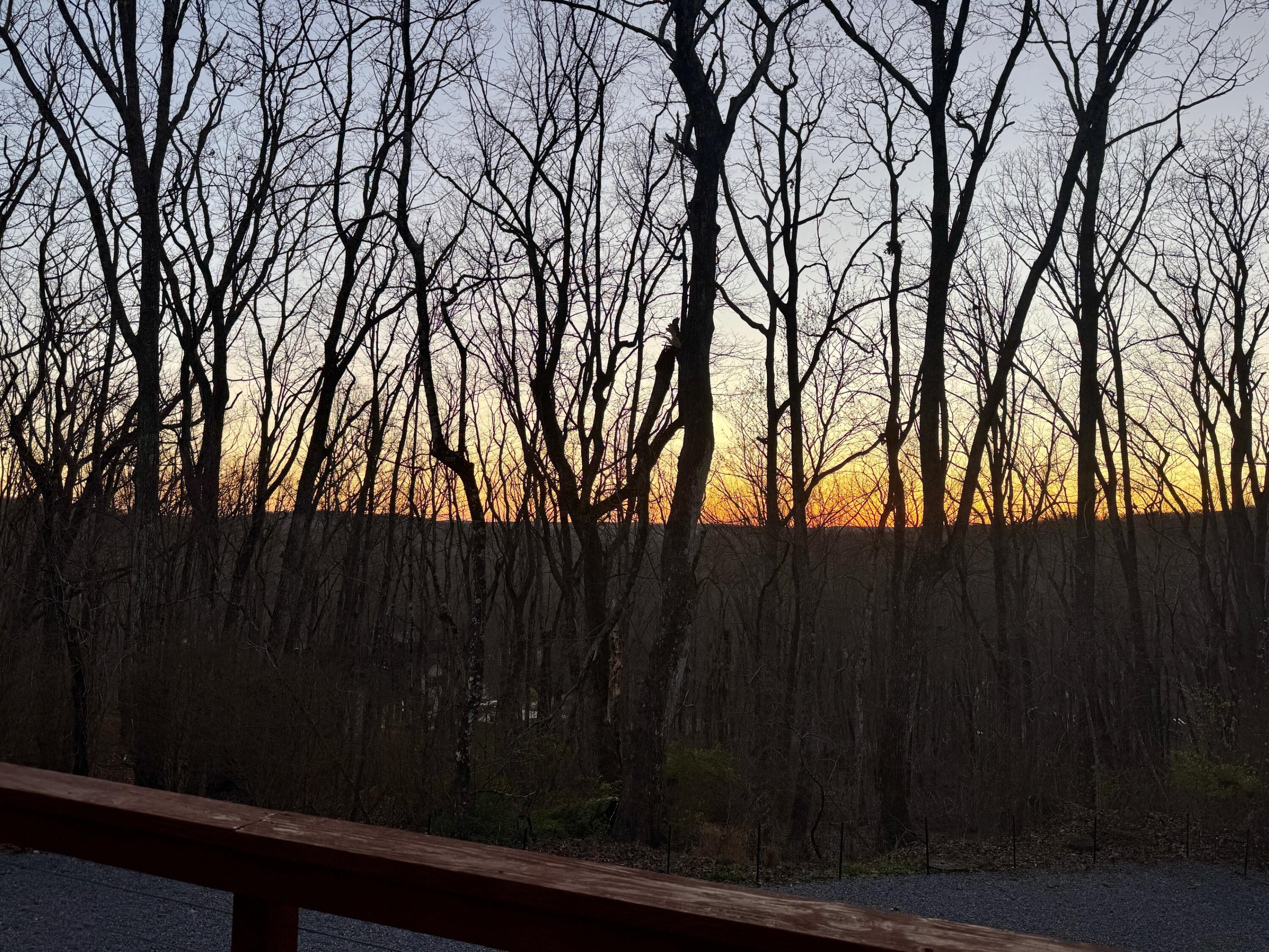 4007 Anderson Pike