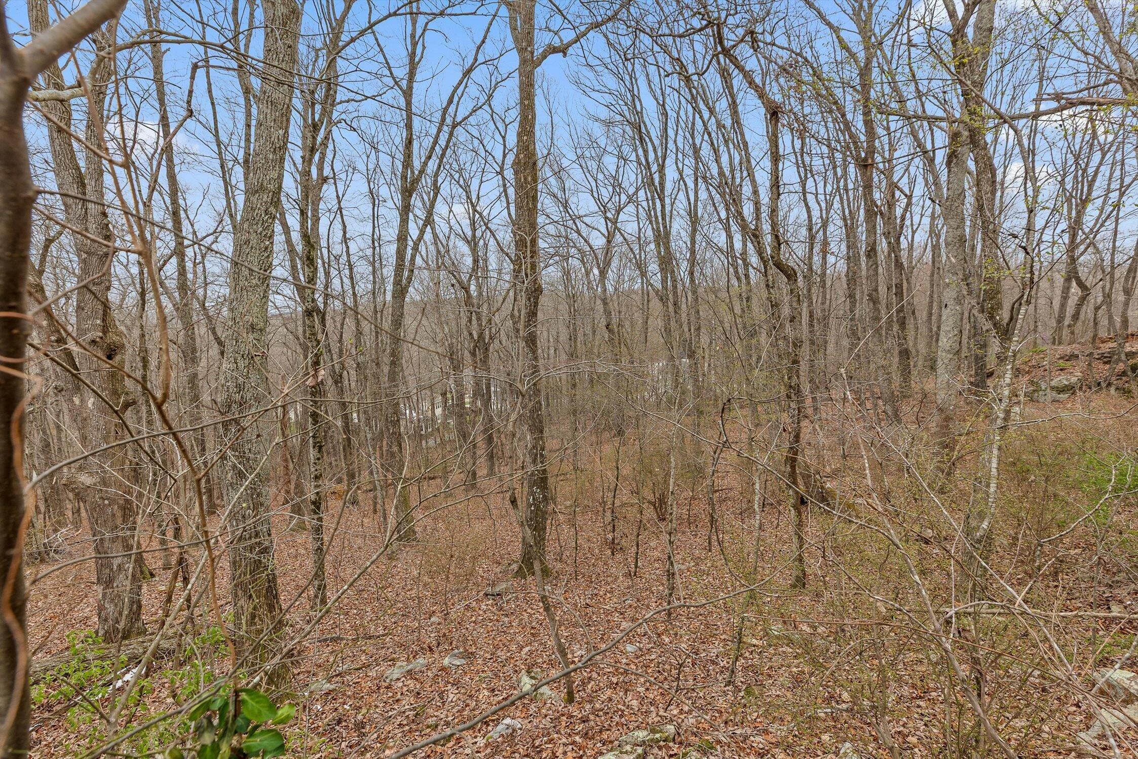 4007 Anderson Pike