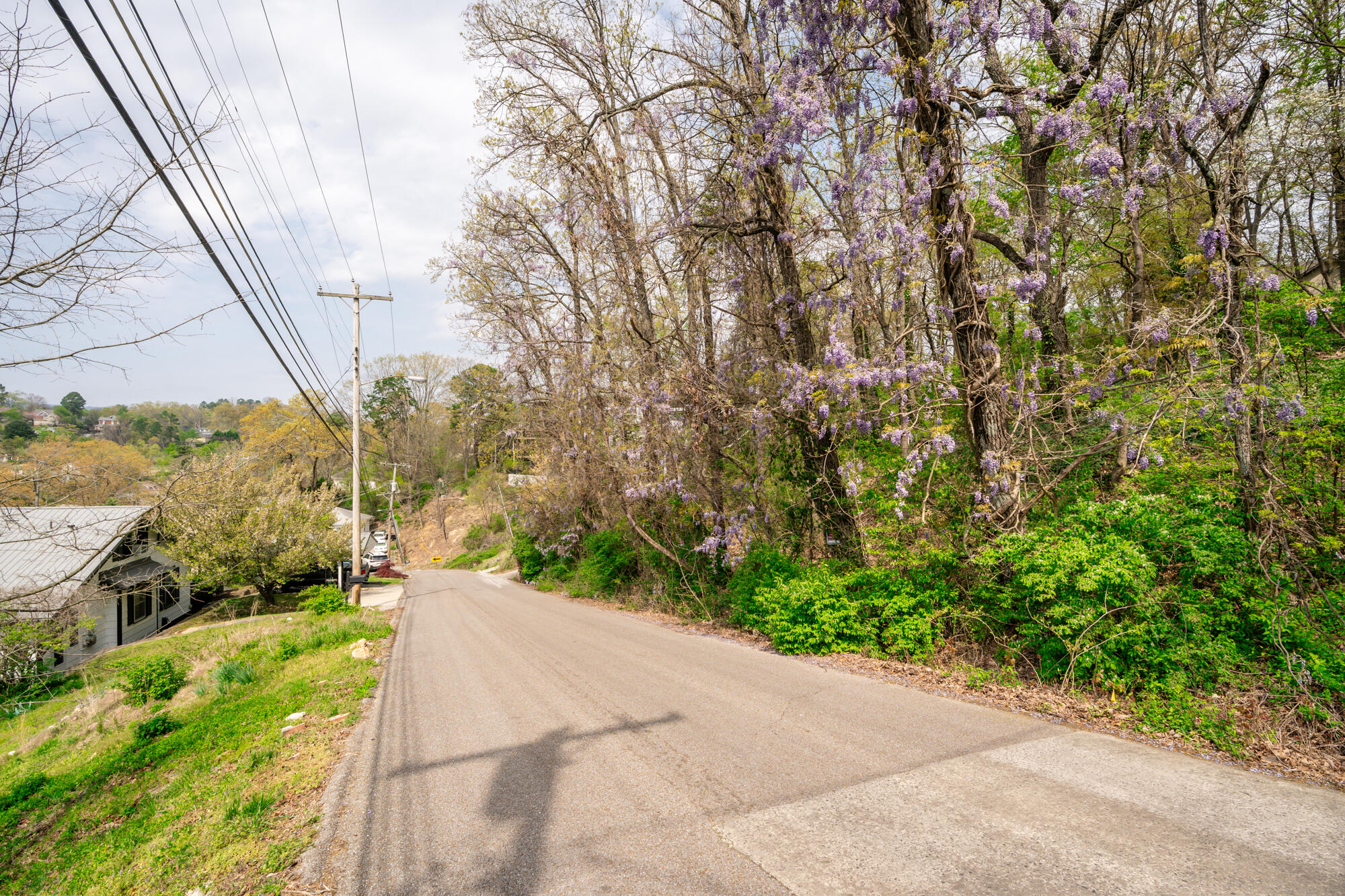 522 Crewdson Street, 11