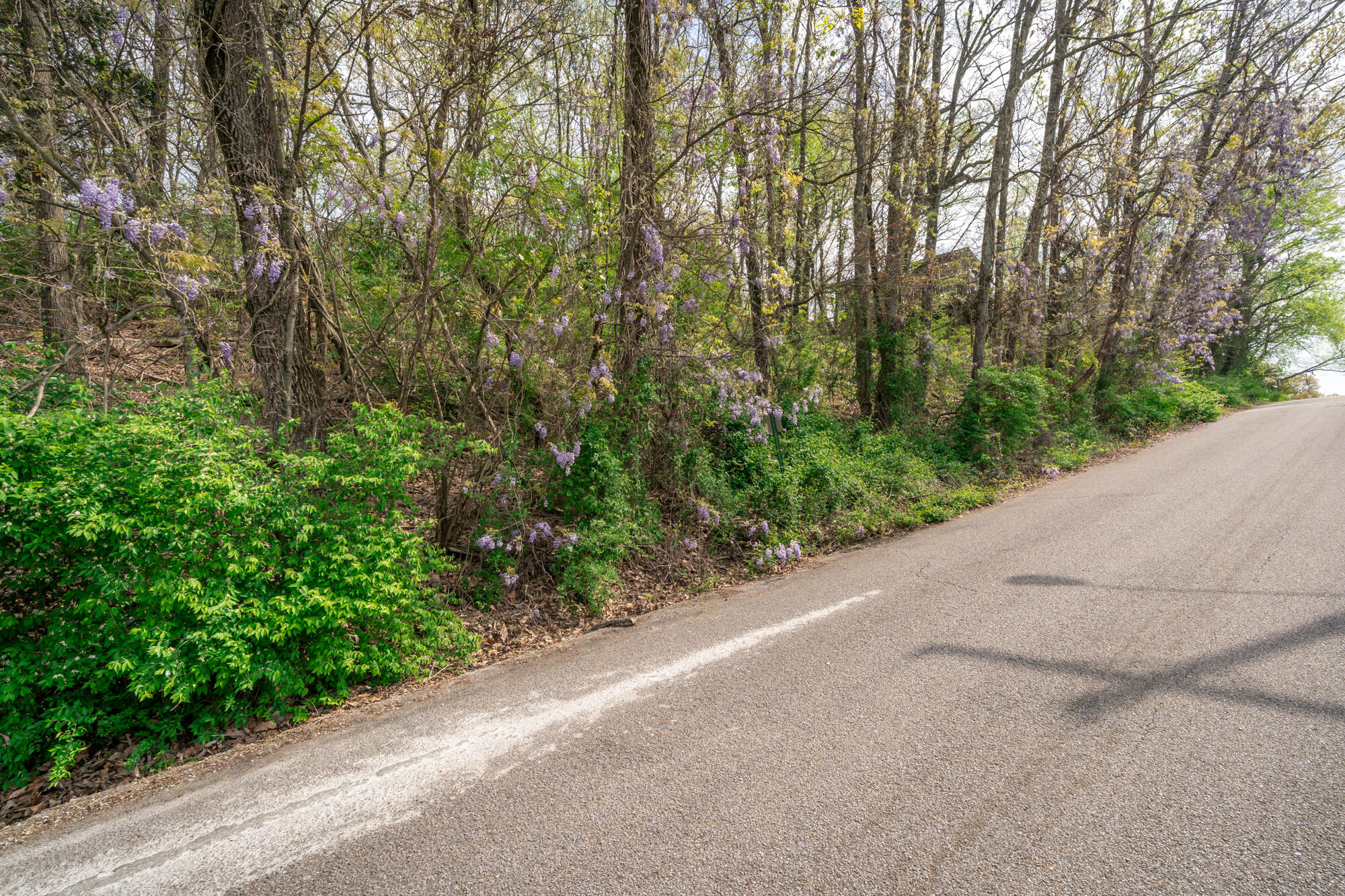 522 Crewdson Street, 11