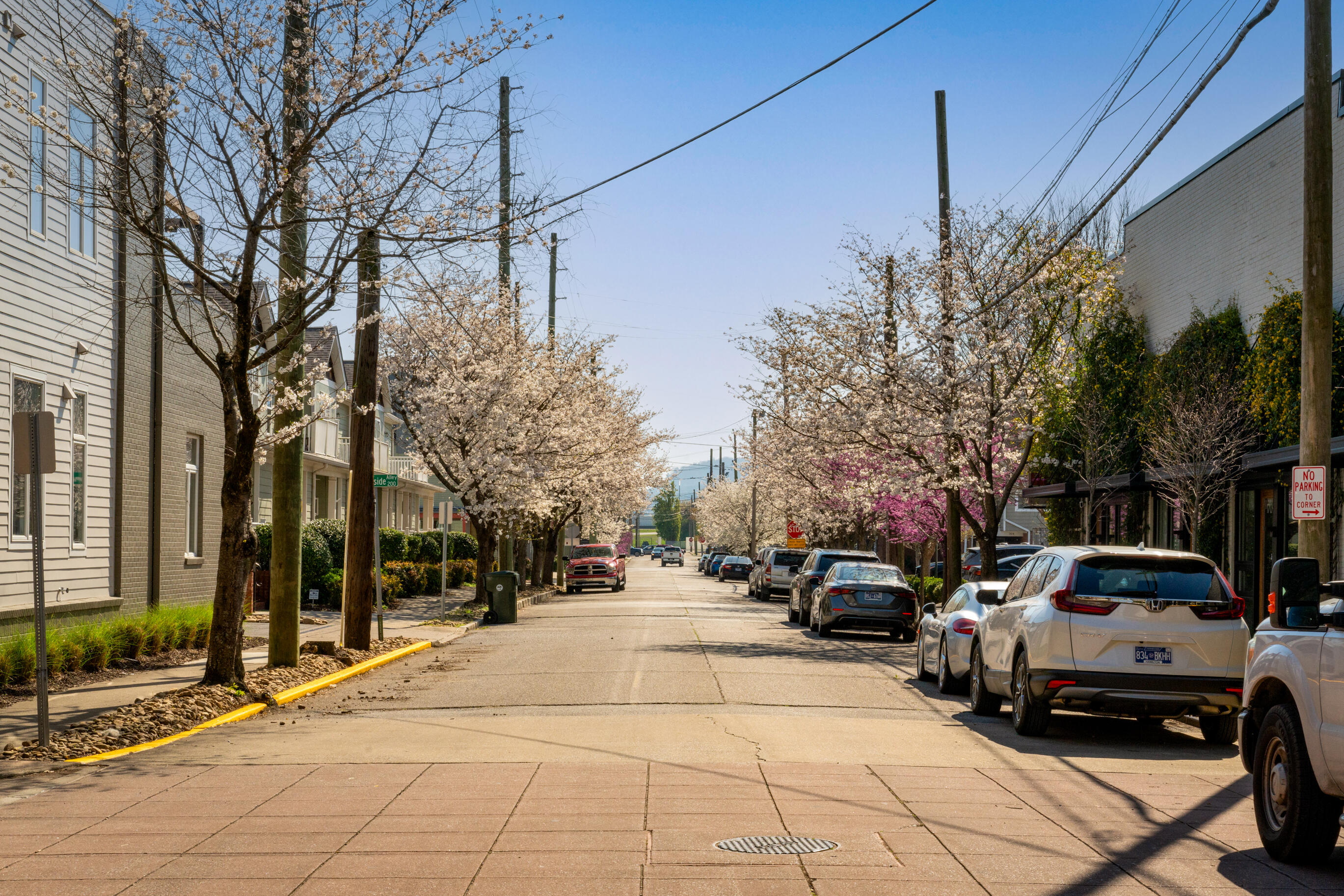 229 W 17th Street
