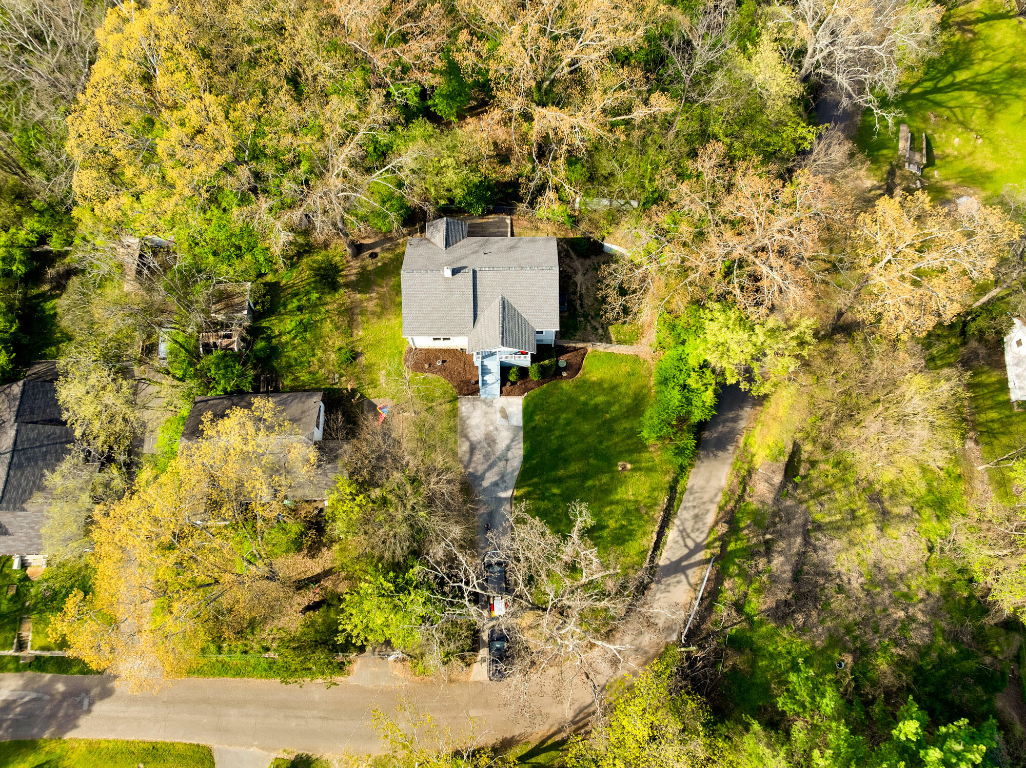 223 Ivy Street