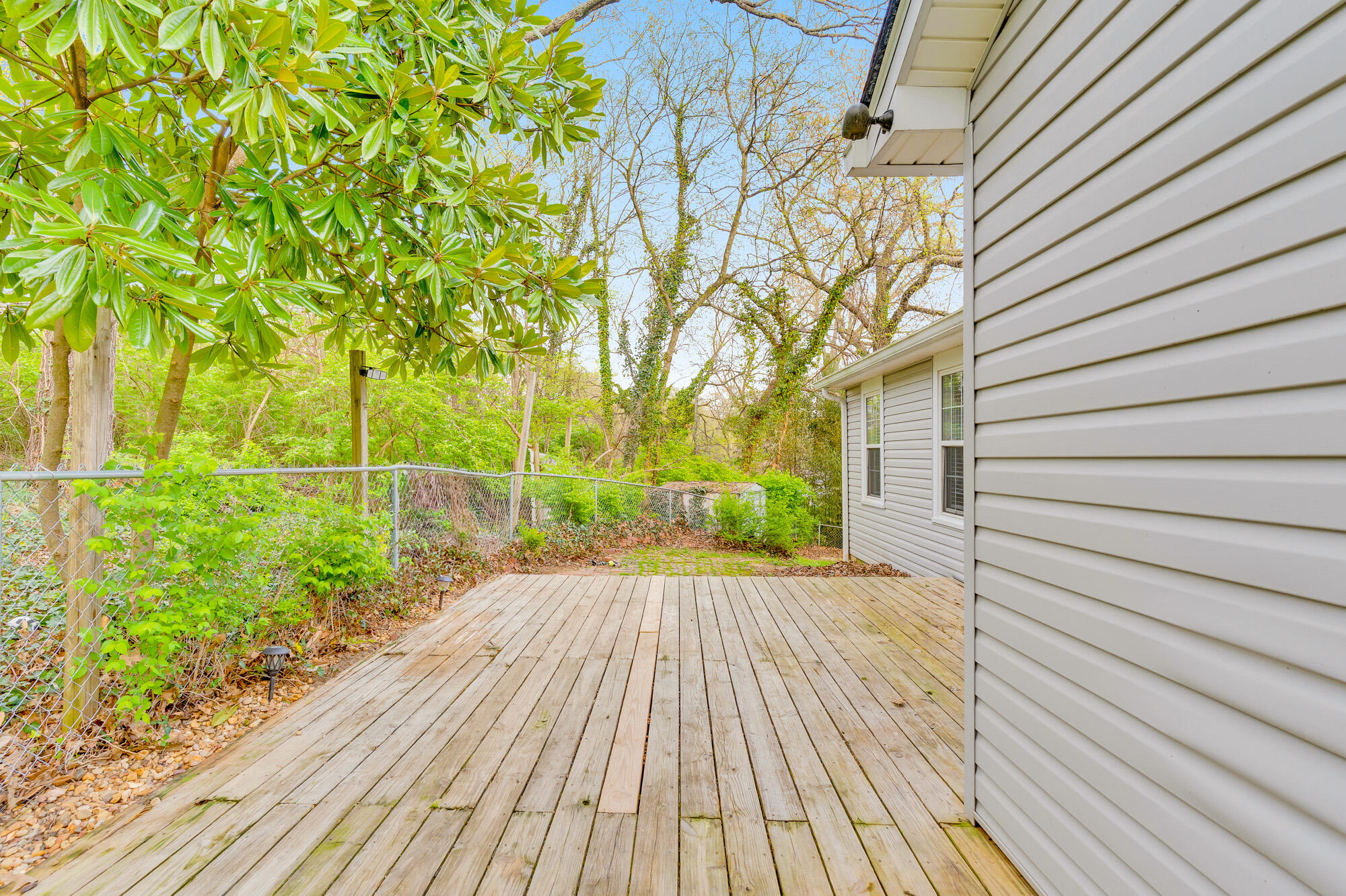 223 Ivy Street