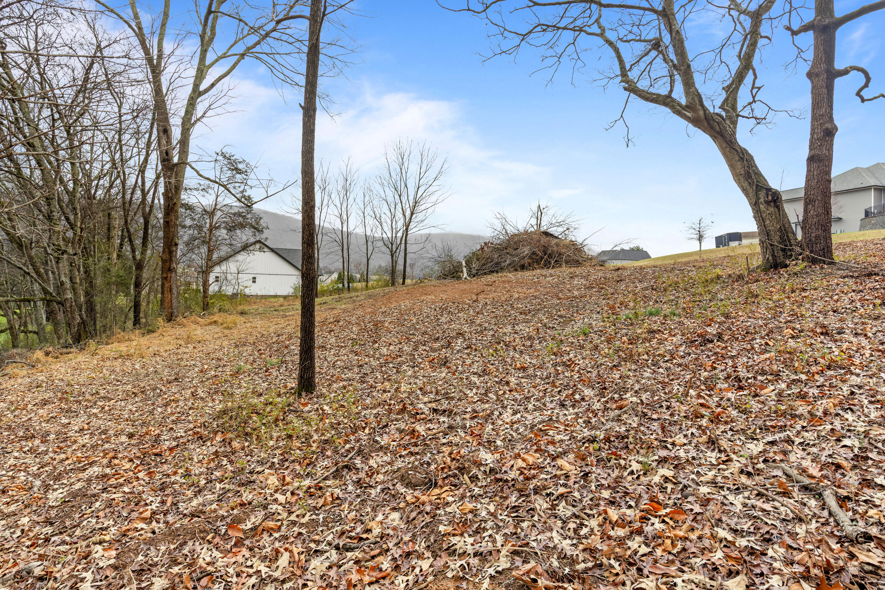 0 Scenic Hollow Drive