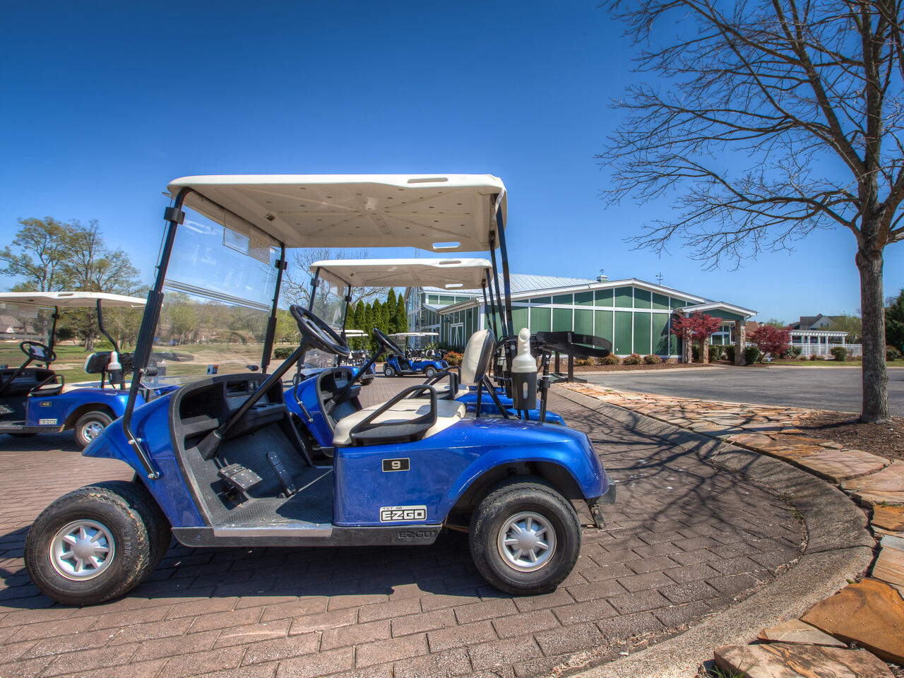 7348 Miss Madison Way