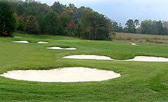 7348 Miss Madison Way